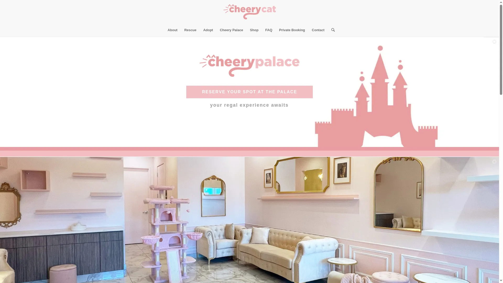 Cheerycat.com