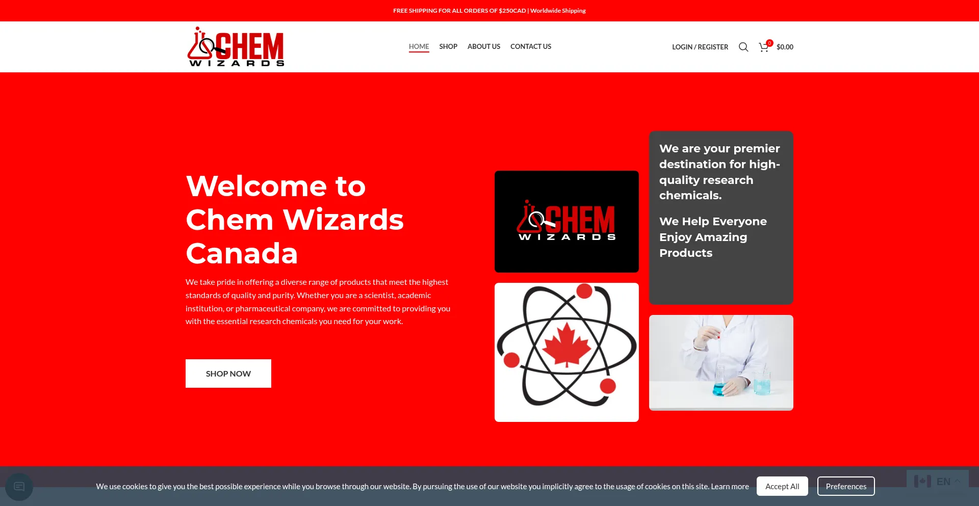 Website screenshot of Chemwizards.ca