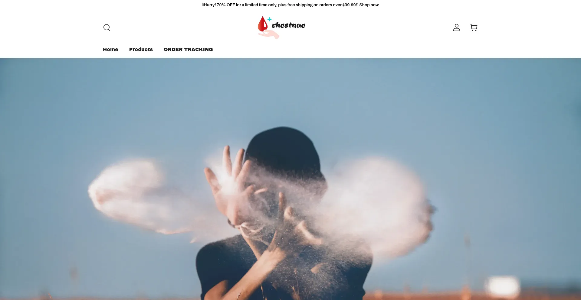 Website screenshot of Chestnue.shop