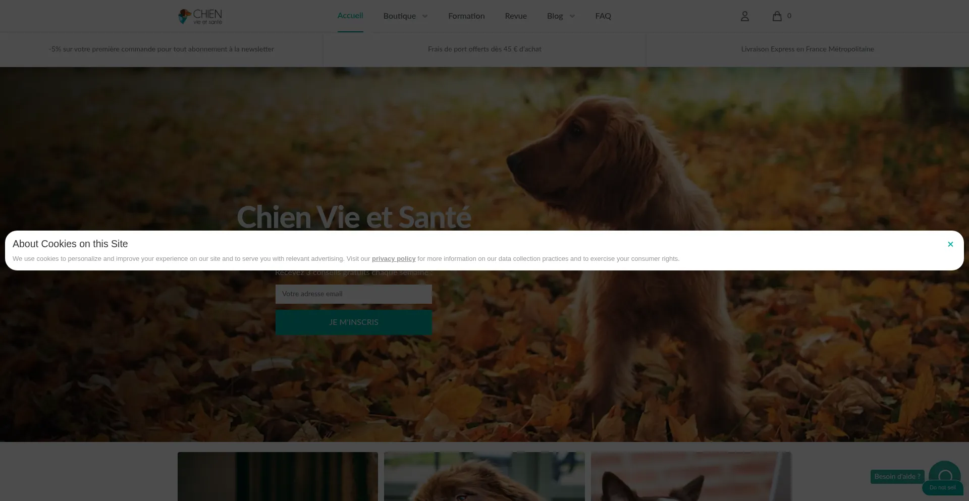 Website screenshot of Chienvieetsante.com