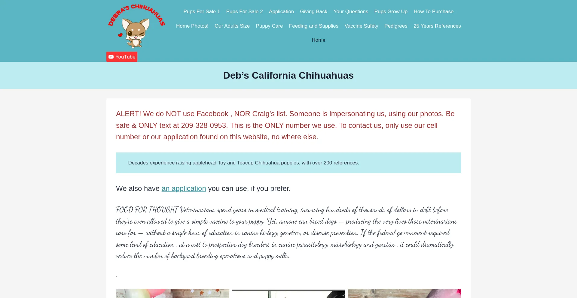 Chihuahua-teacups.com
