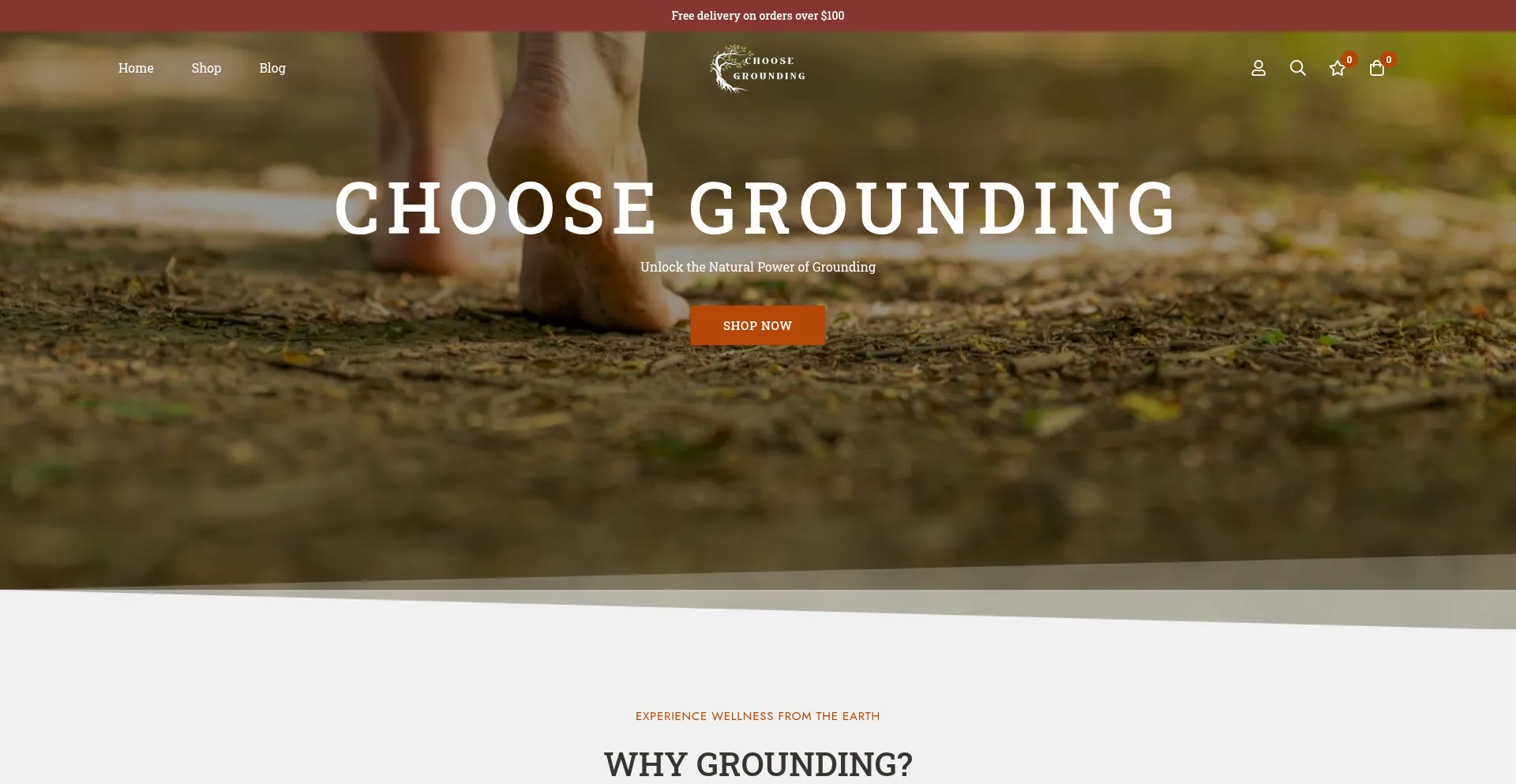 Website screenshot of Choosegrounding.com