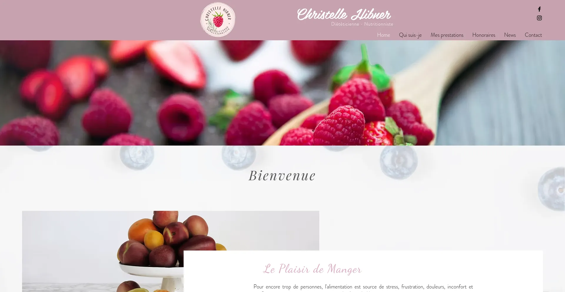 Christellehibnerdieteticienne.com