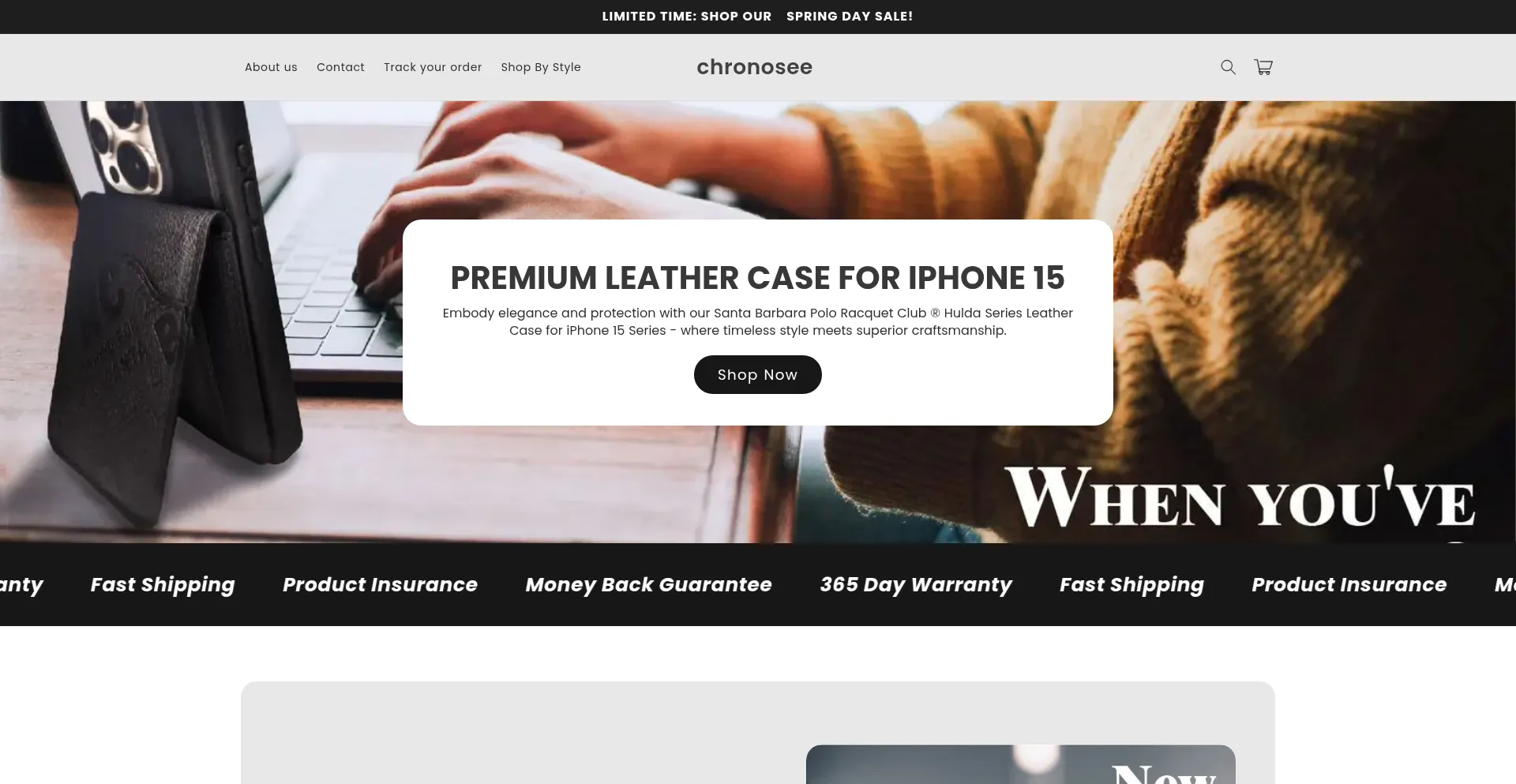Website screenshot of Chronosewatches.com