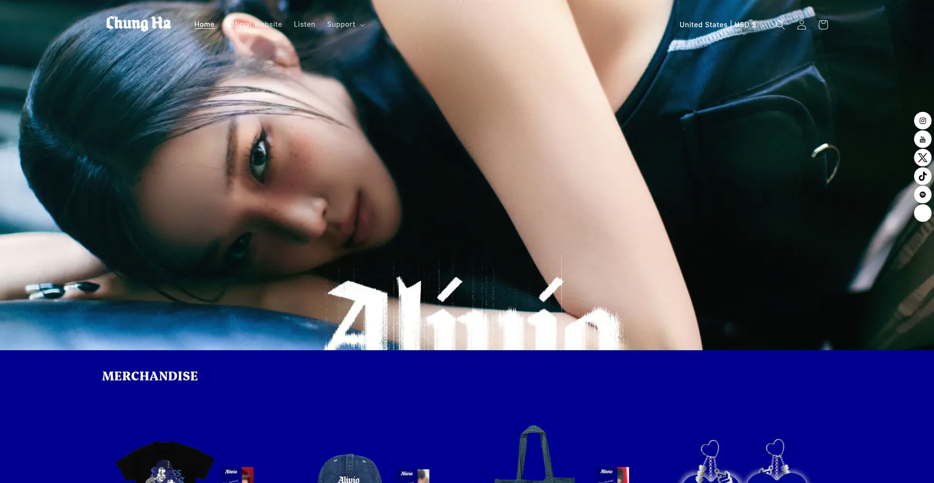 Website screenshot of Chungha-officialstore.com