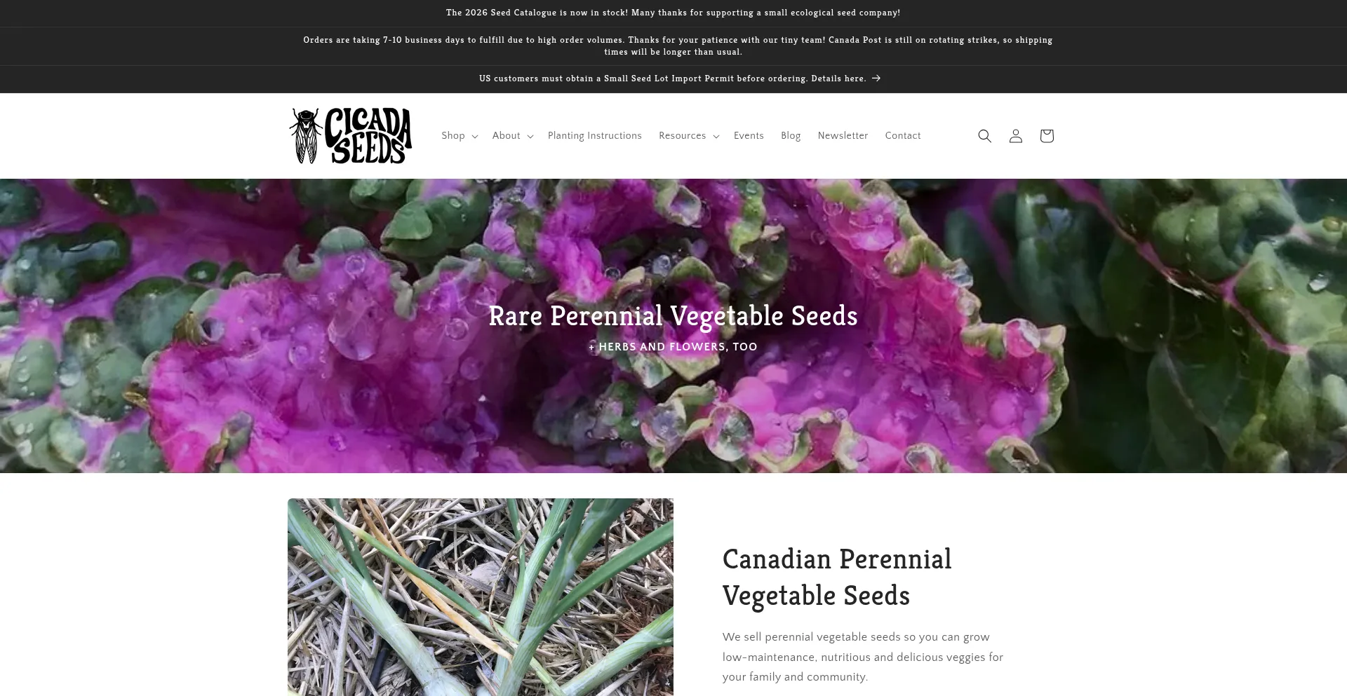 Cicadaseeds.ca