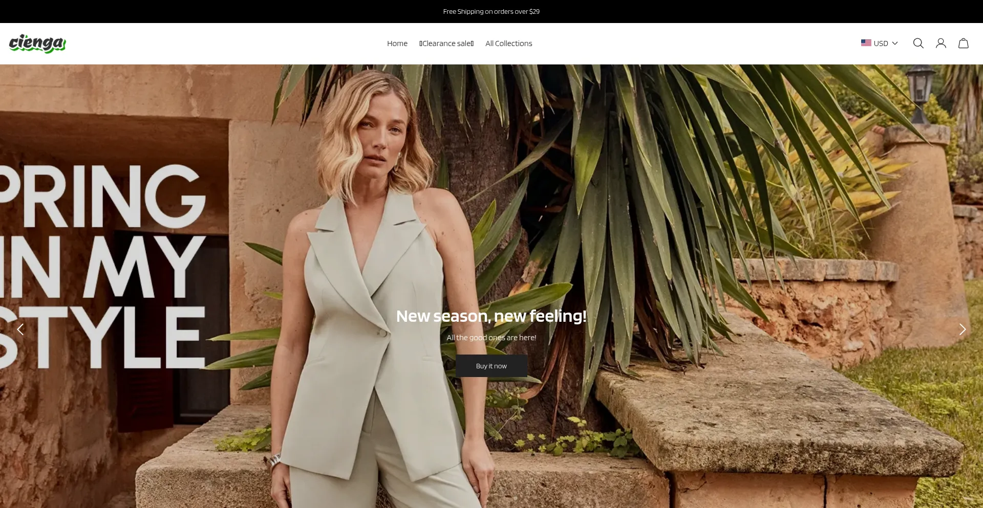 Website screenshot of Cienga.com
