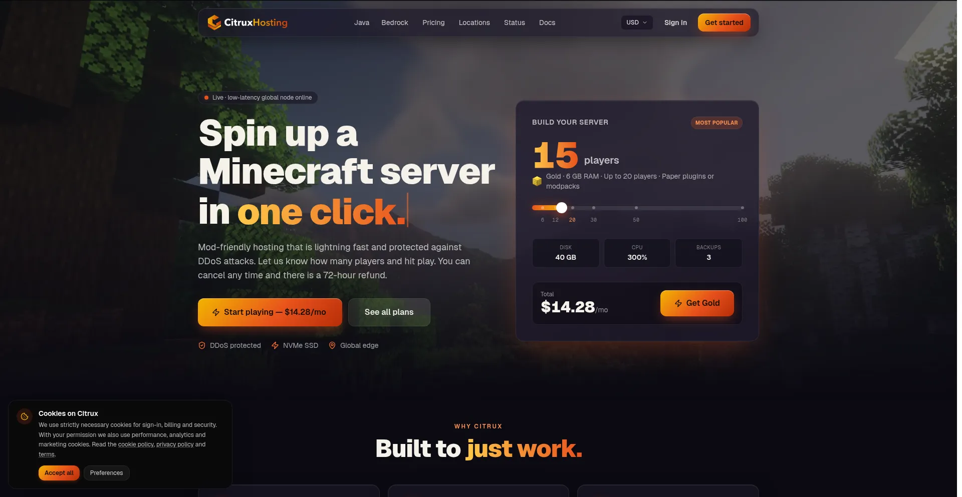 Citruxhosting.com