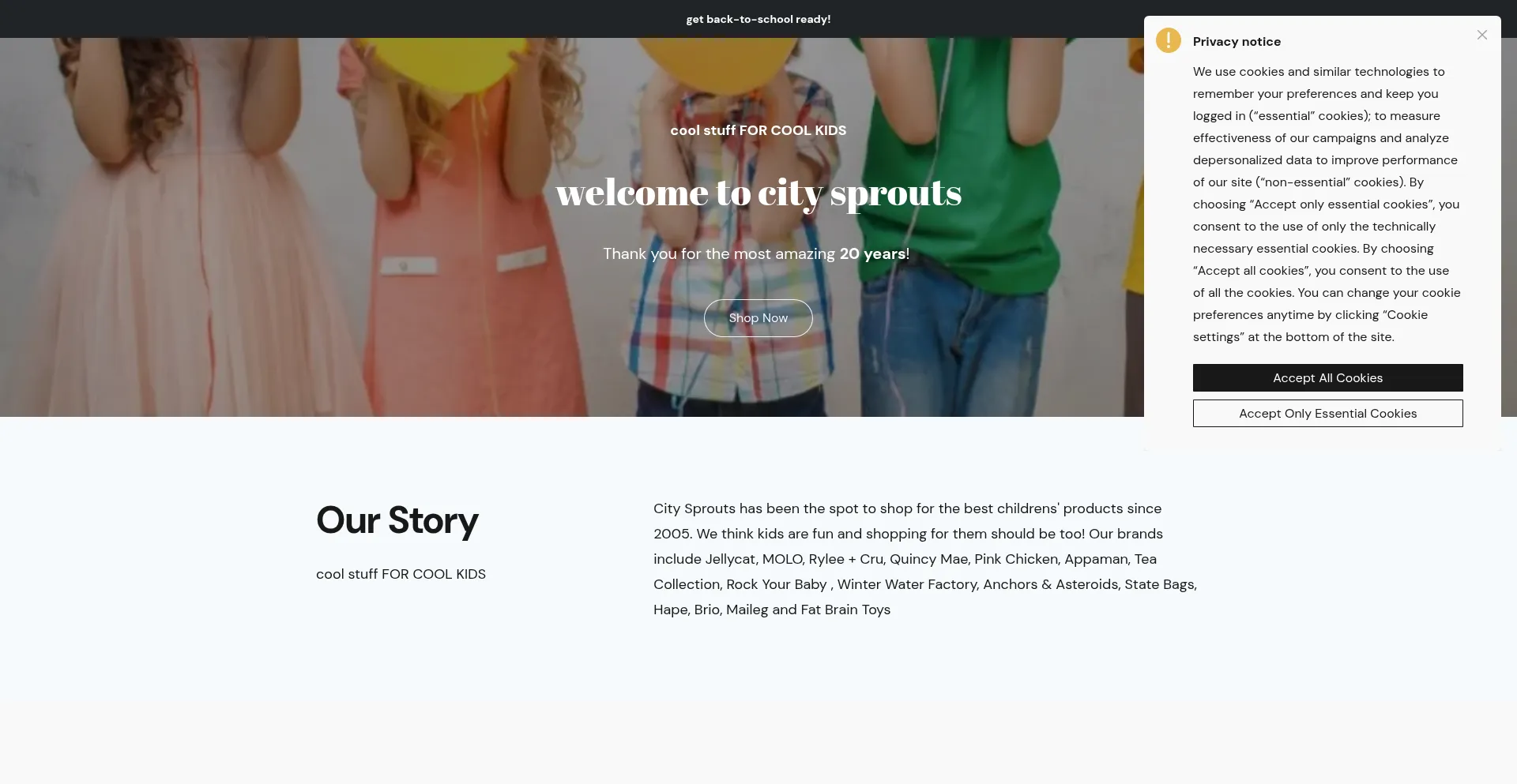 Website screenshot of Citysprouts.com