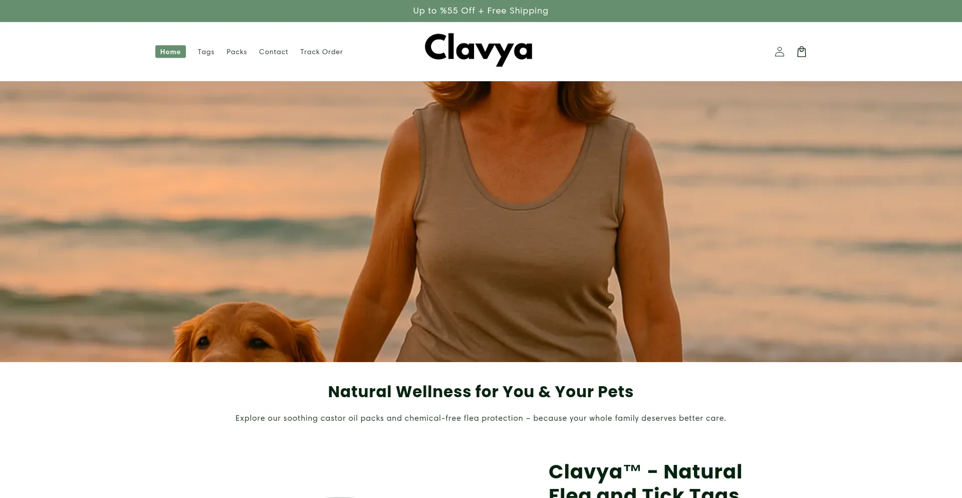 Website screenshot of Clavya.com