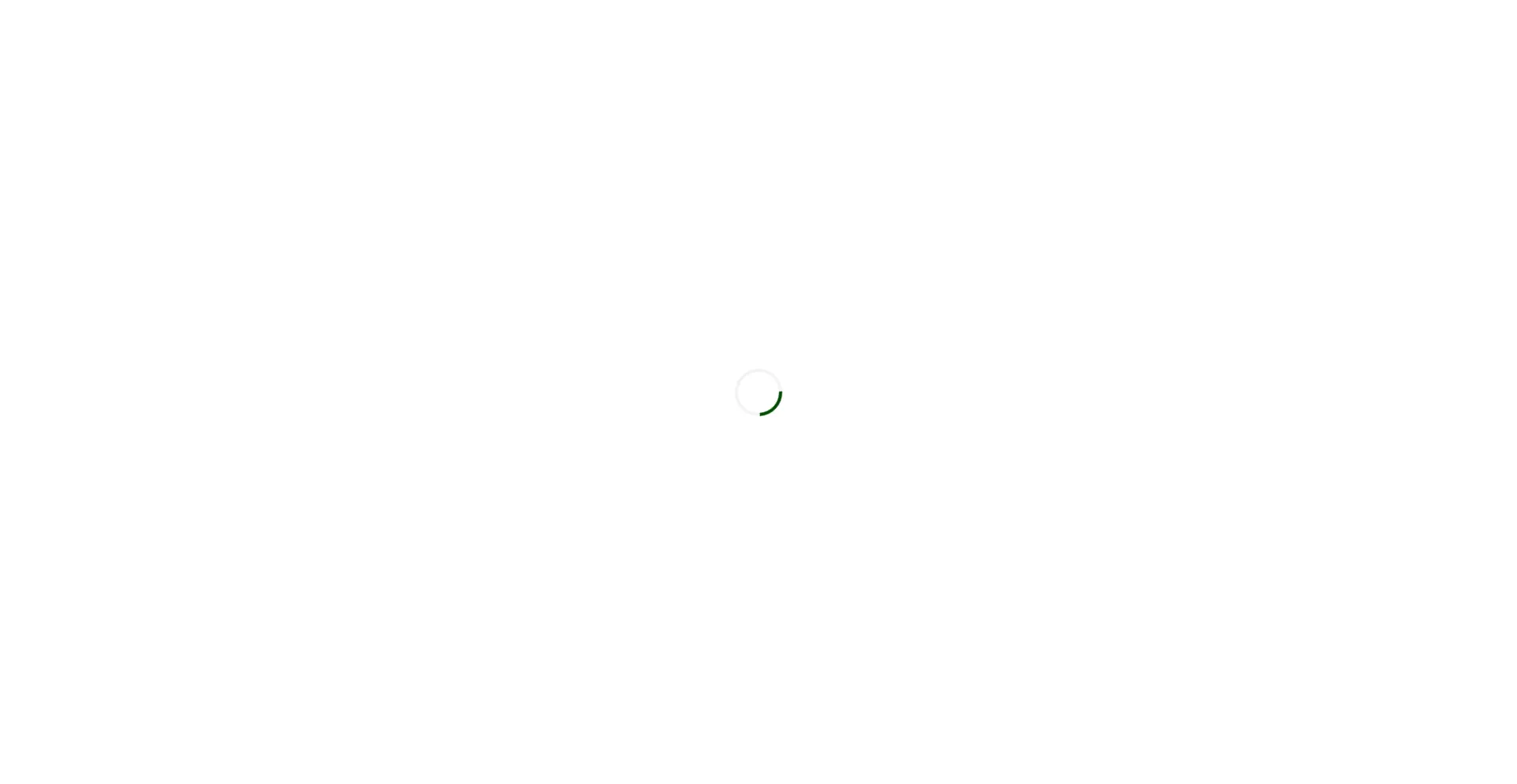 Website screenshot of Cleanfit.nl