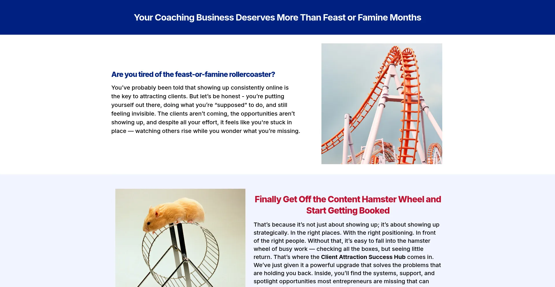 Clientattractionsuccesshub.com