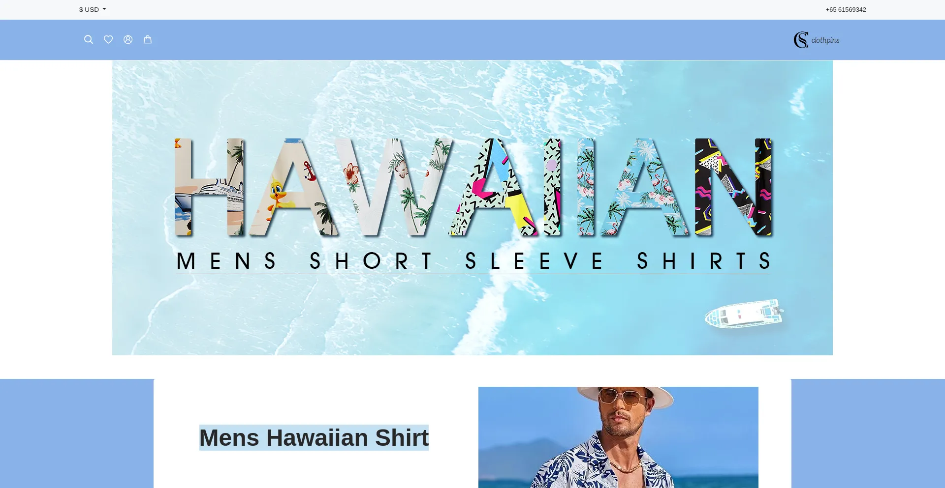 Website screenshot of Clothpins.com