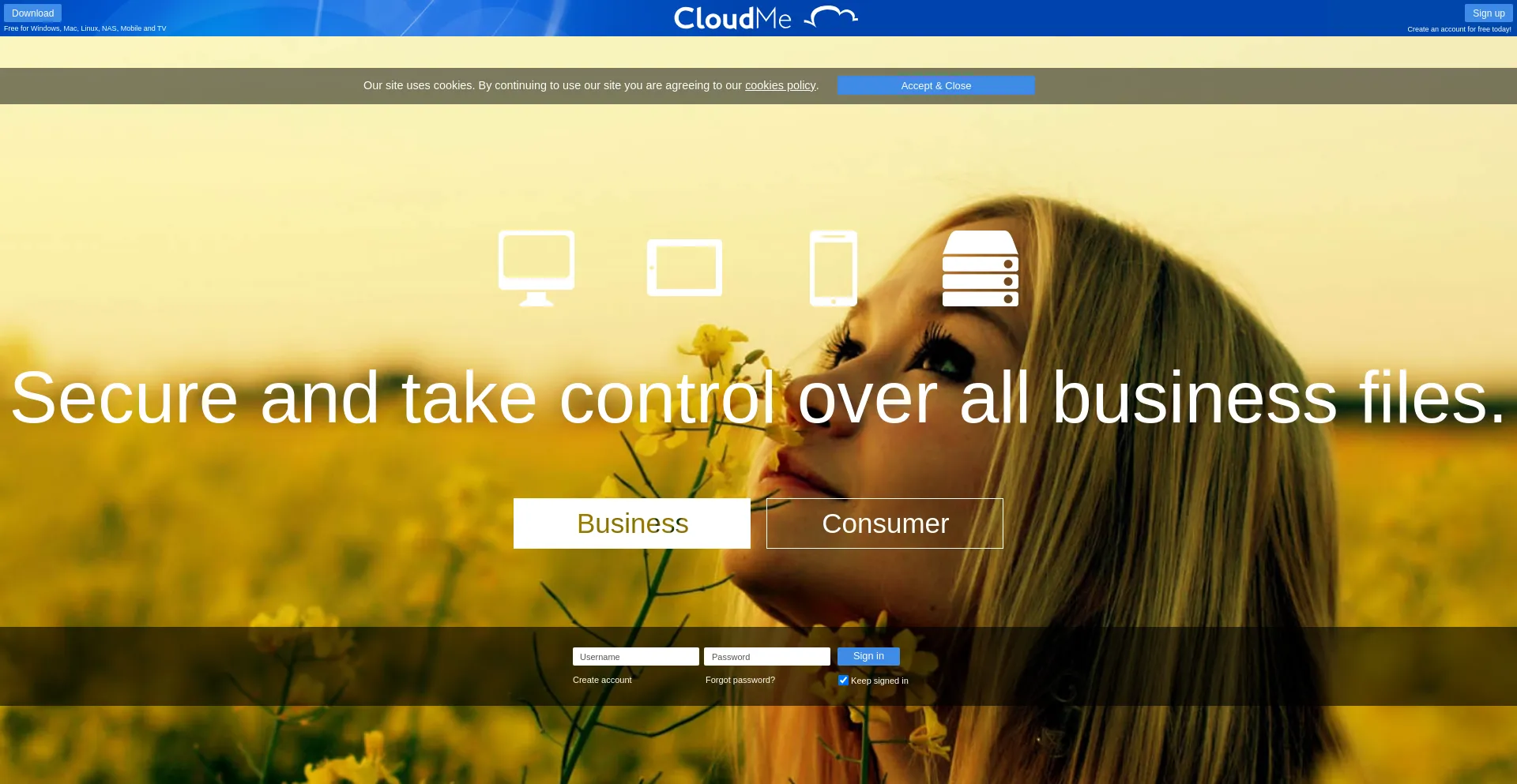Website screenshot of Cloudme.com