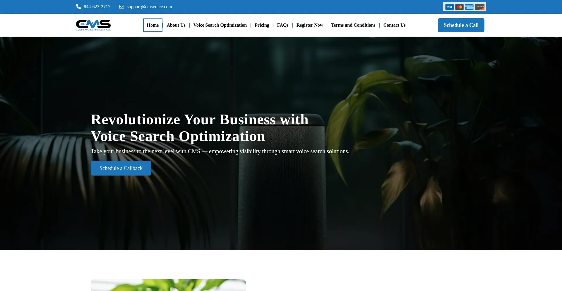 Cmsvoice.com Screenshot