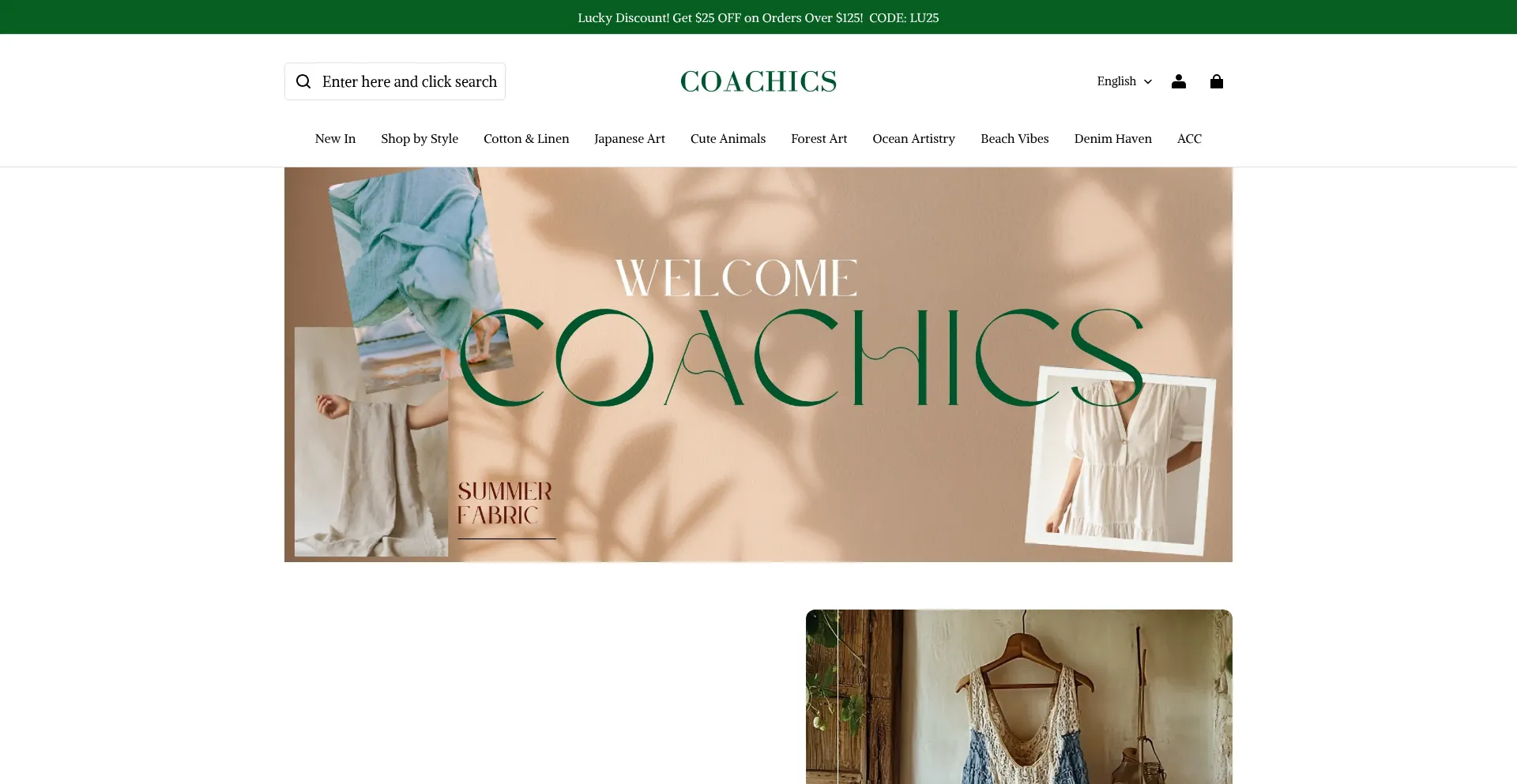 Website screenshot of Coachics.com