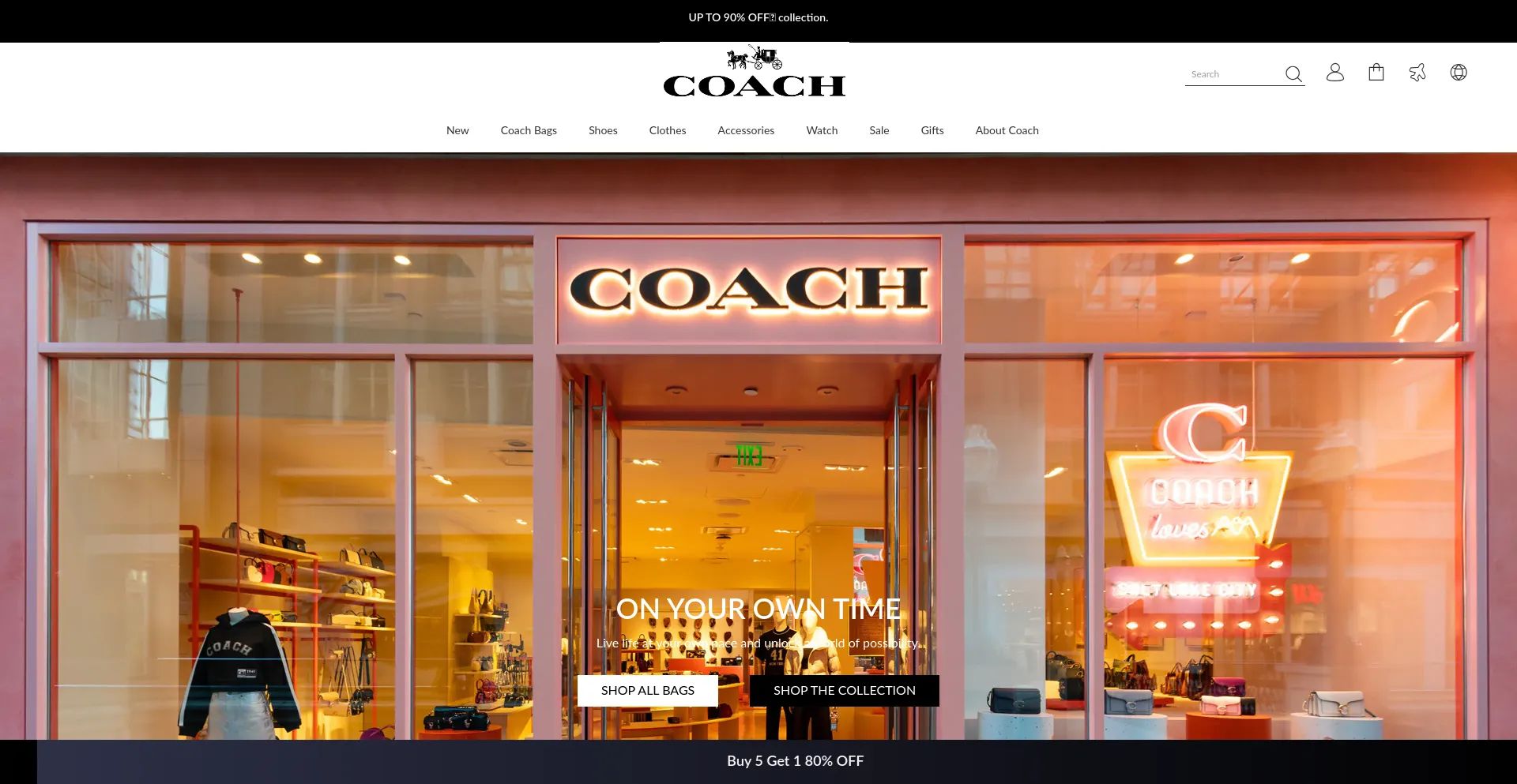 Website screenshot of Coachstyles.shop