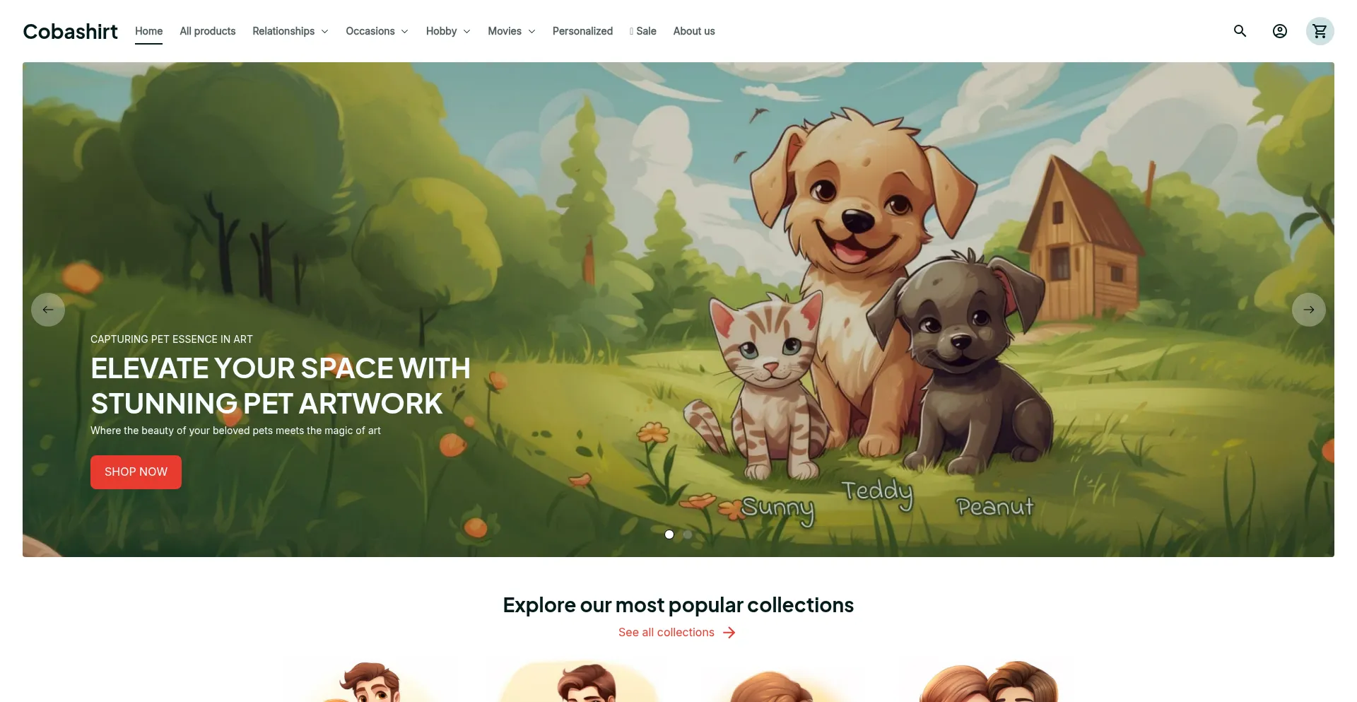 Website screenshot of Cobashirt.com