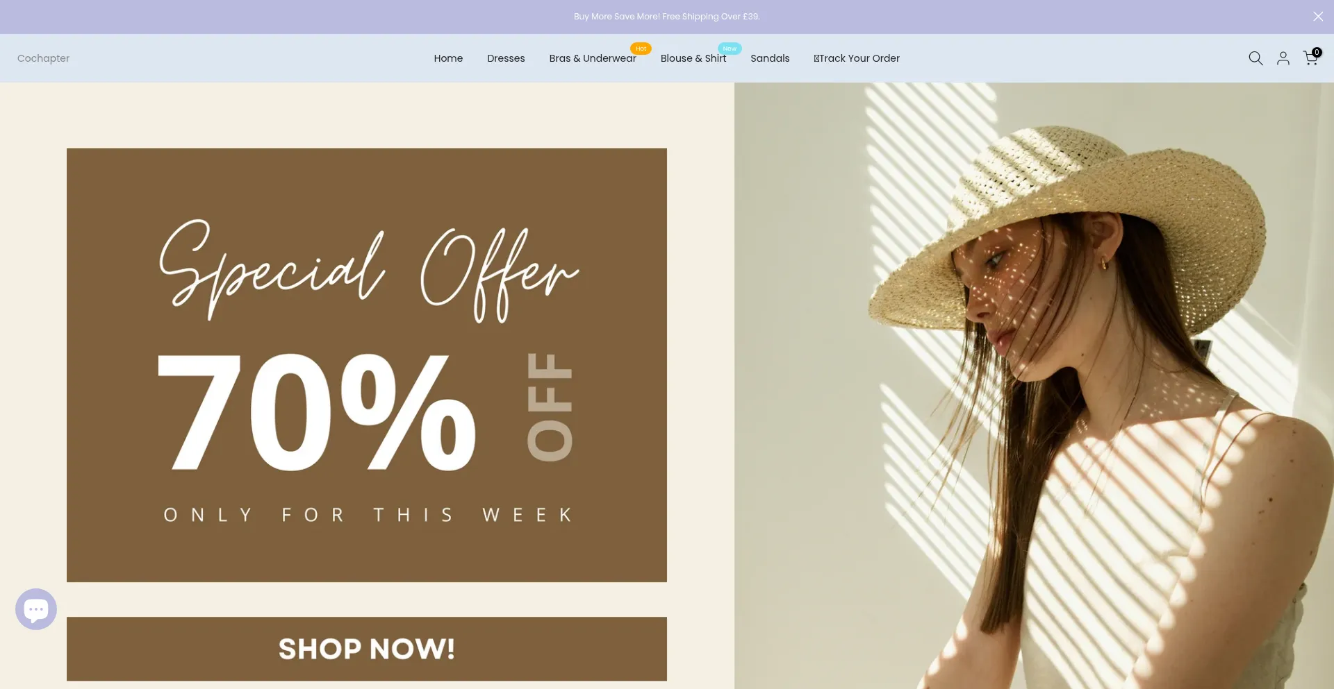 Website screenshot of Cochapter.shop