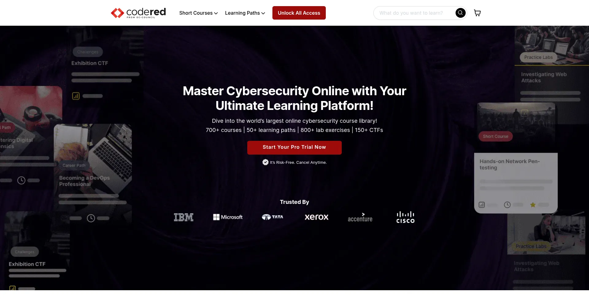 Website screenshot of Coderedpro.com