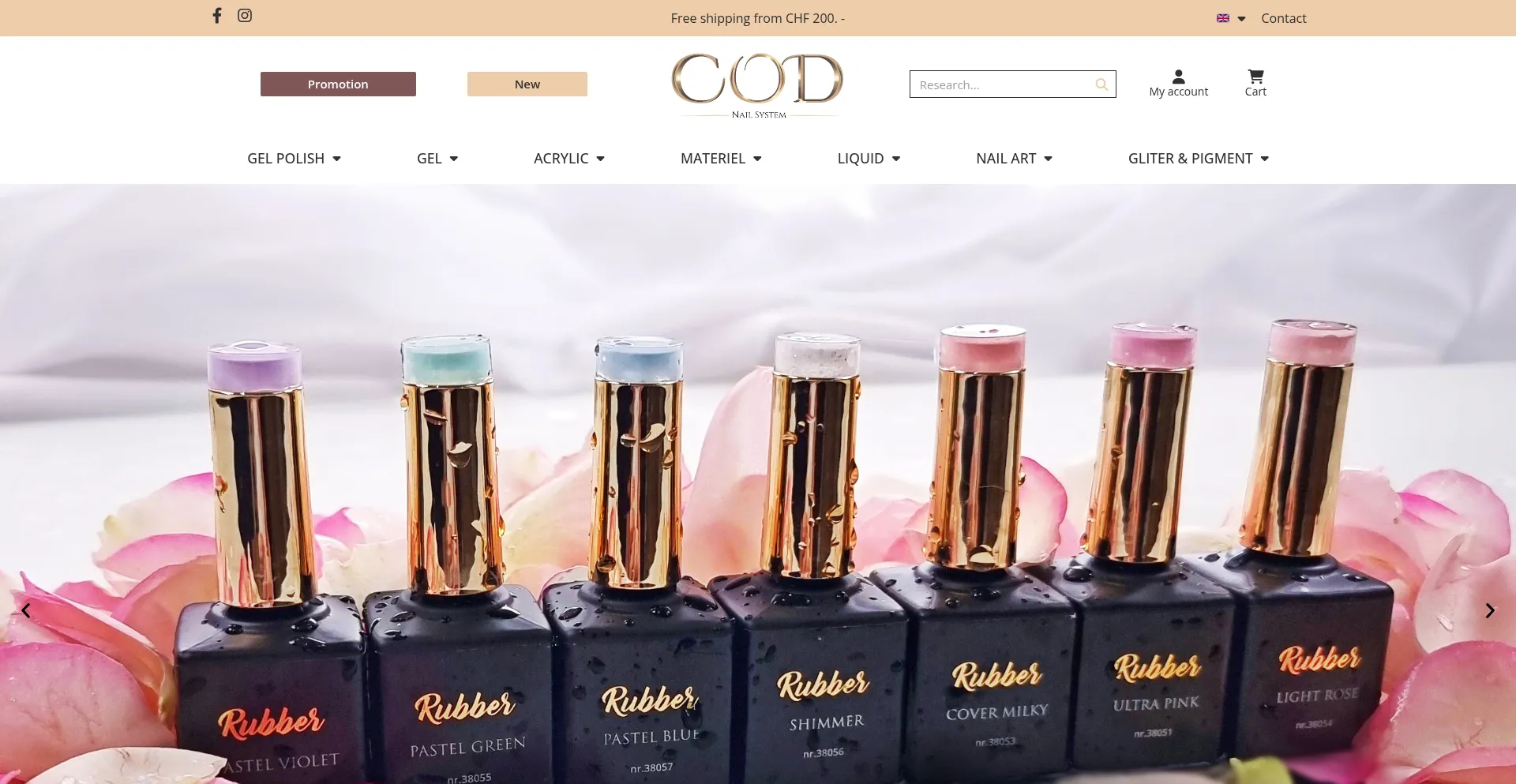 Website screenshot of Codnailsystem.ch
