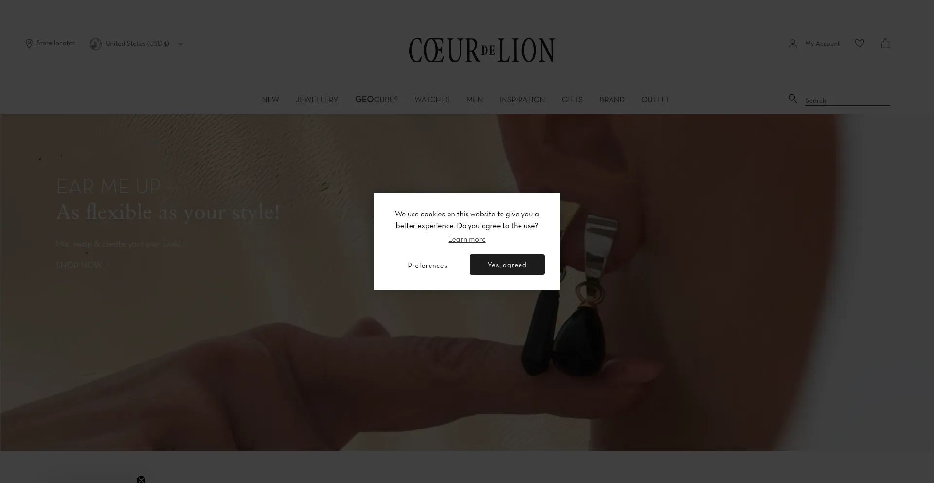 Website screenshot of Coeur-de-lion.eu