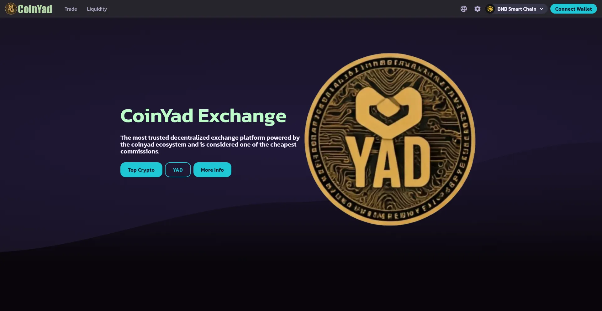 Website screenshot of Coinyad.com