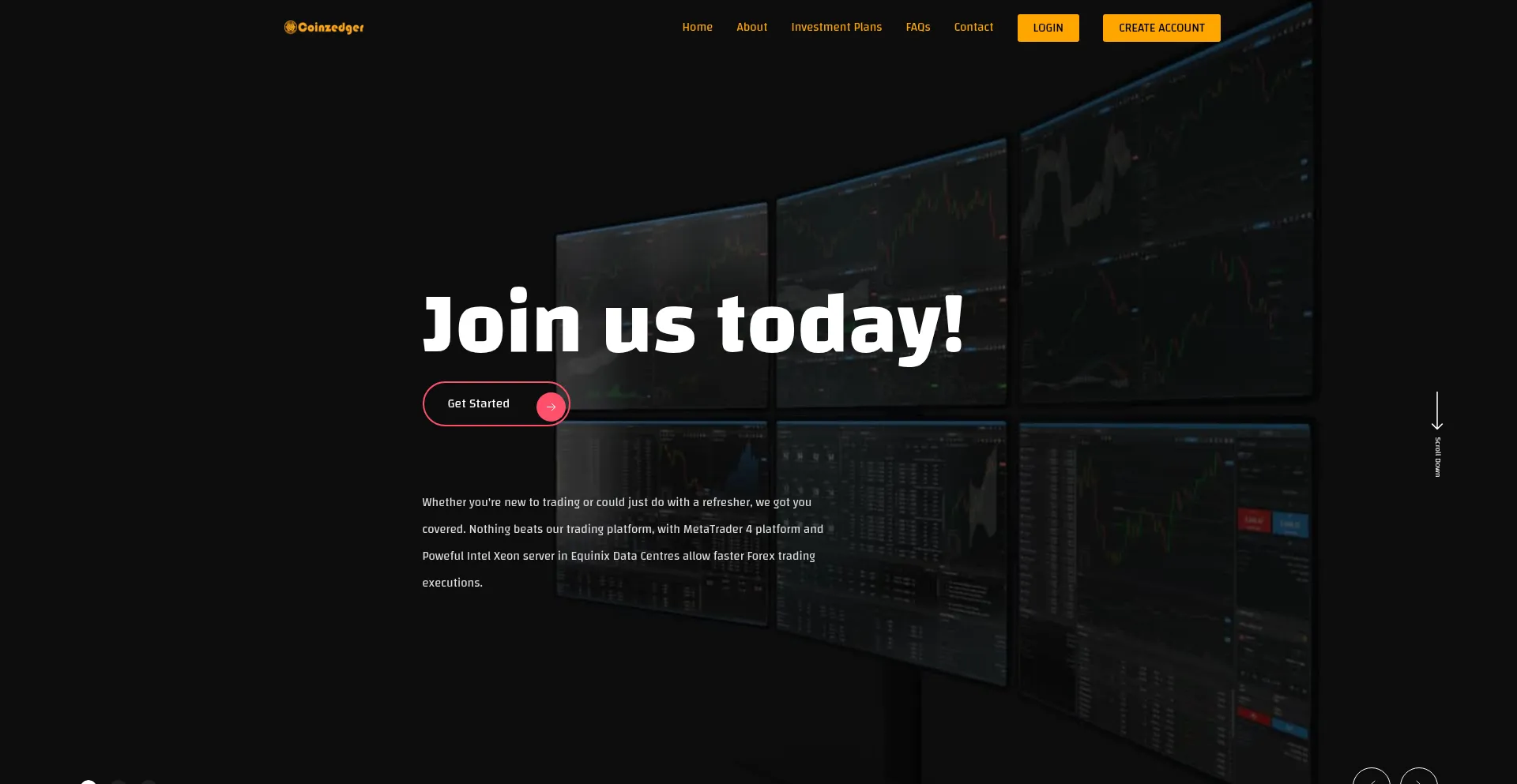 Website screenshot of Coinzedger.com