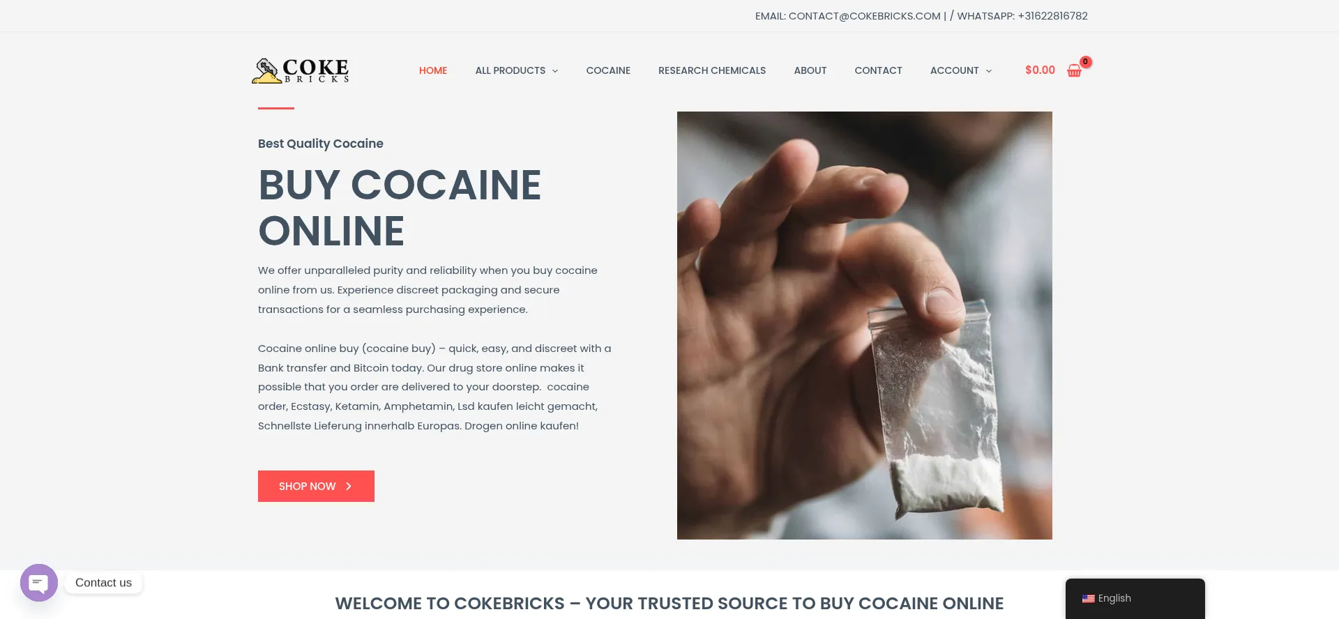 Website screenshot of Cokebricks.com
