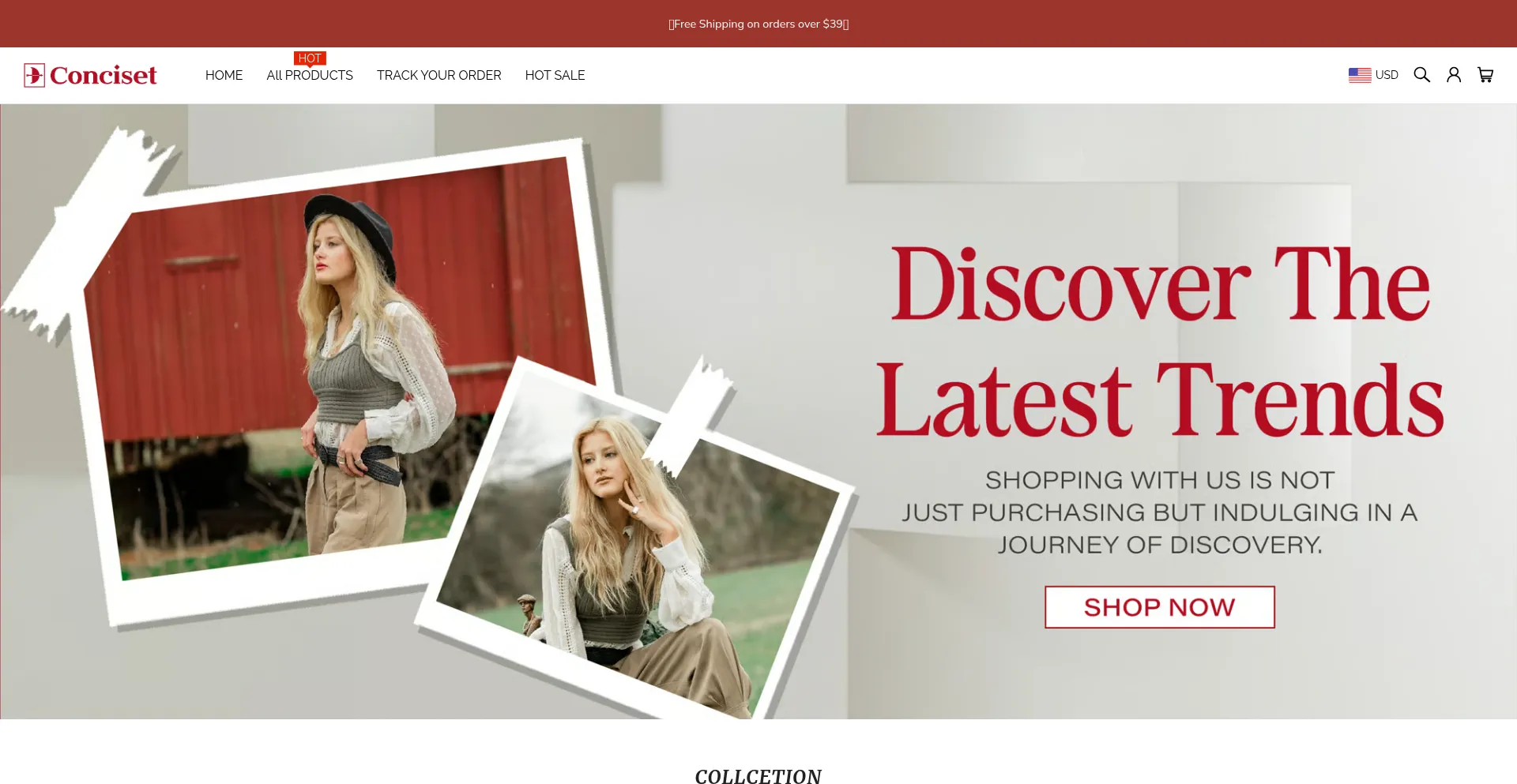 Website screenshot of Conciset.com