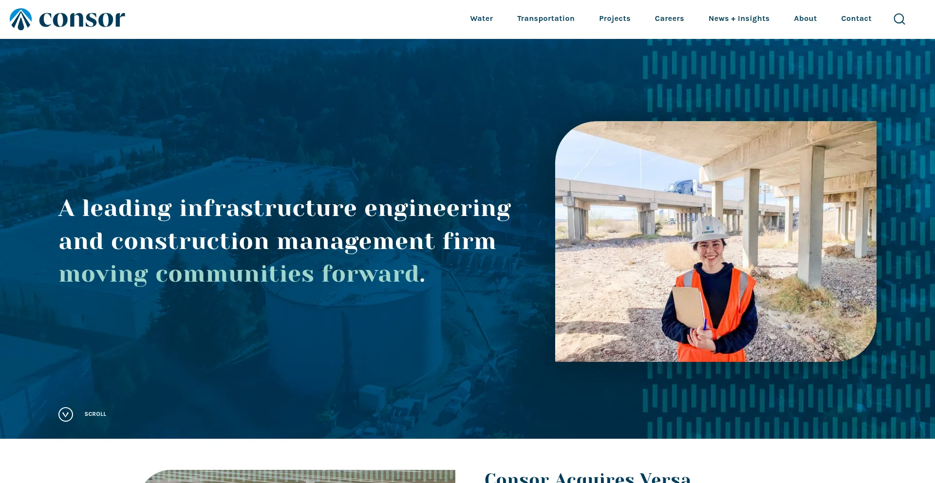 Consoreng.com Screenshot