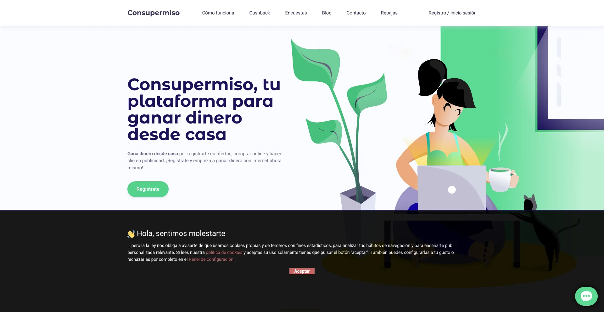 Website screenshot of Consupermiso.com
