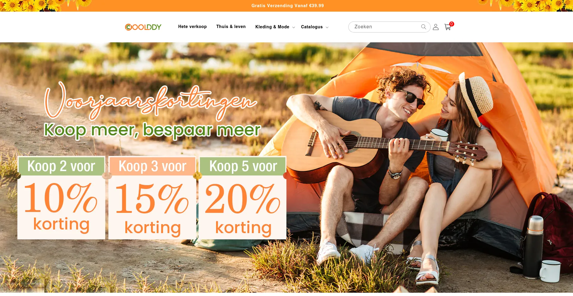 Website screenshot of Coolddy.com