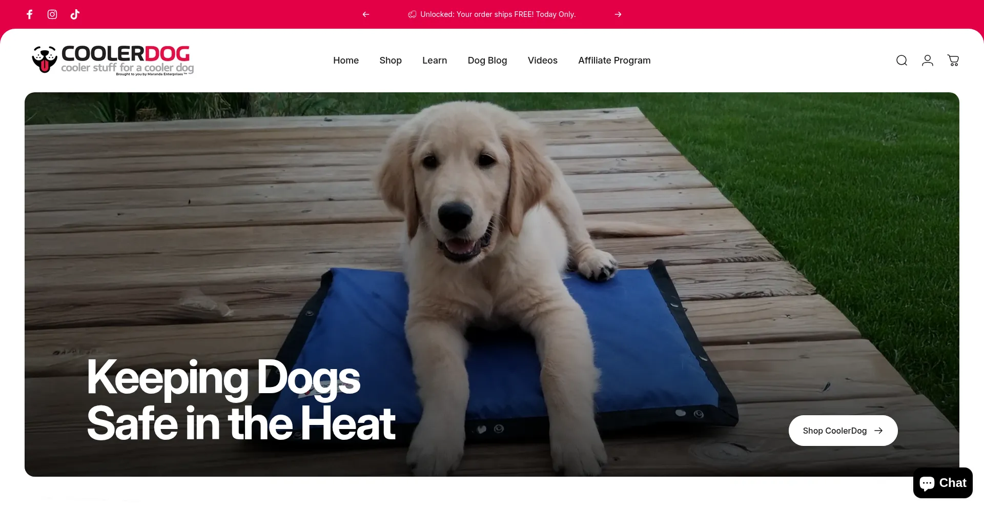Website screenshot of Coolerdog.com