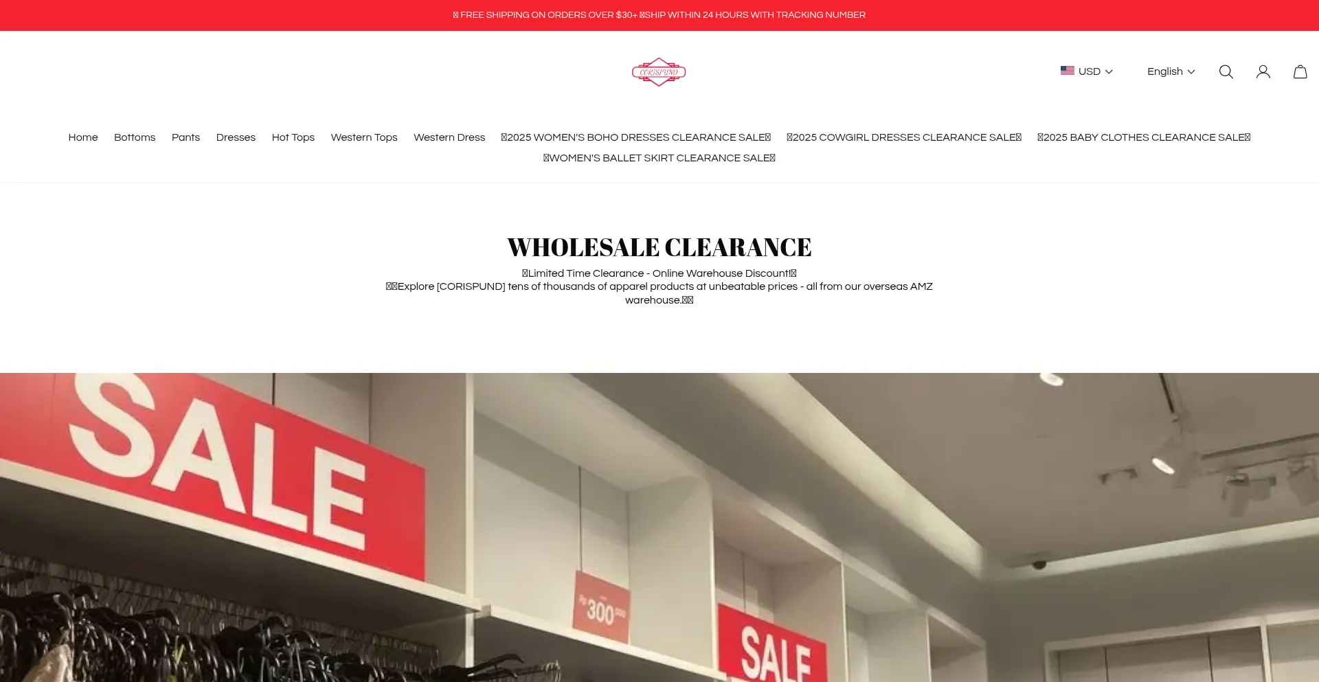 Website screenshot of Corispund.com