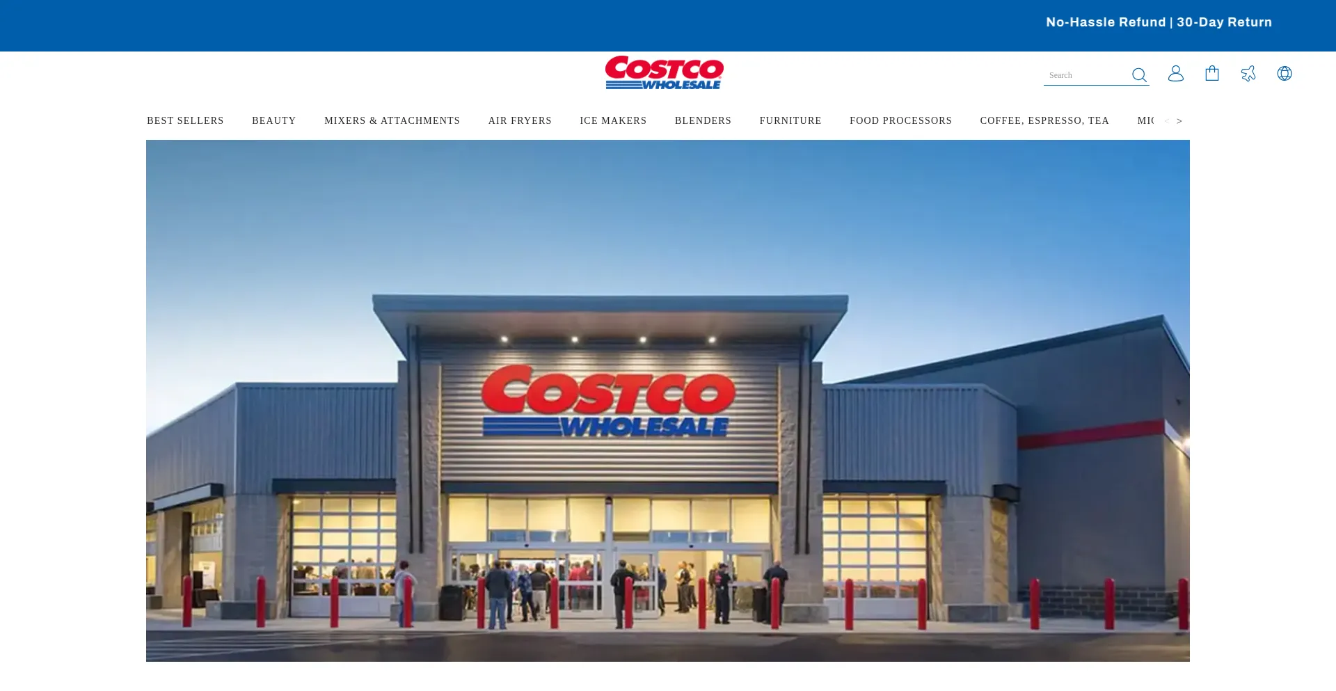 Website screenshot of Costcous.vip