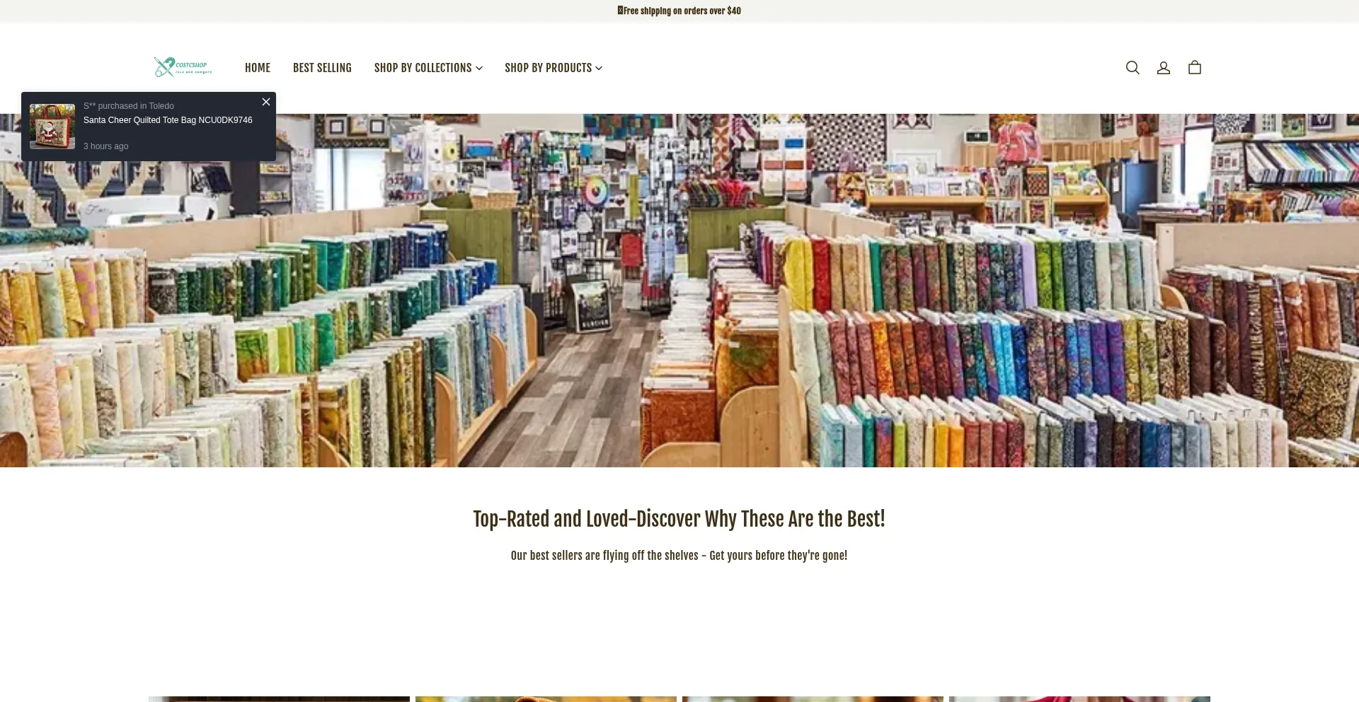 Website screenshot of Costcshop.vip