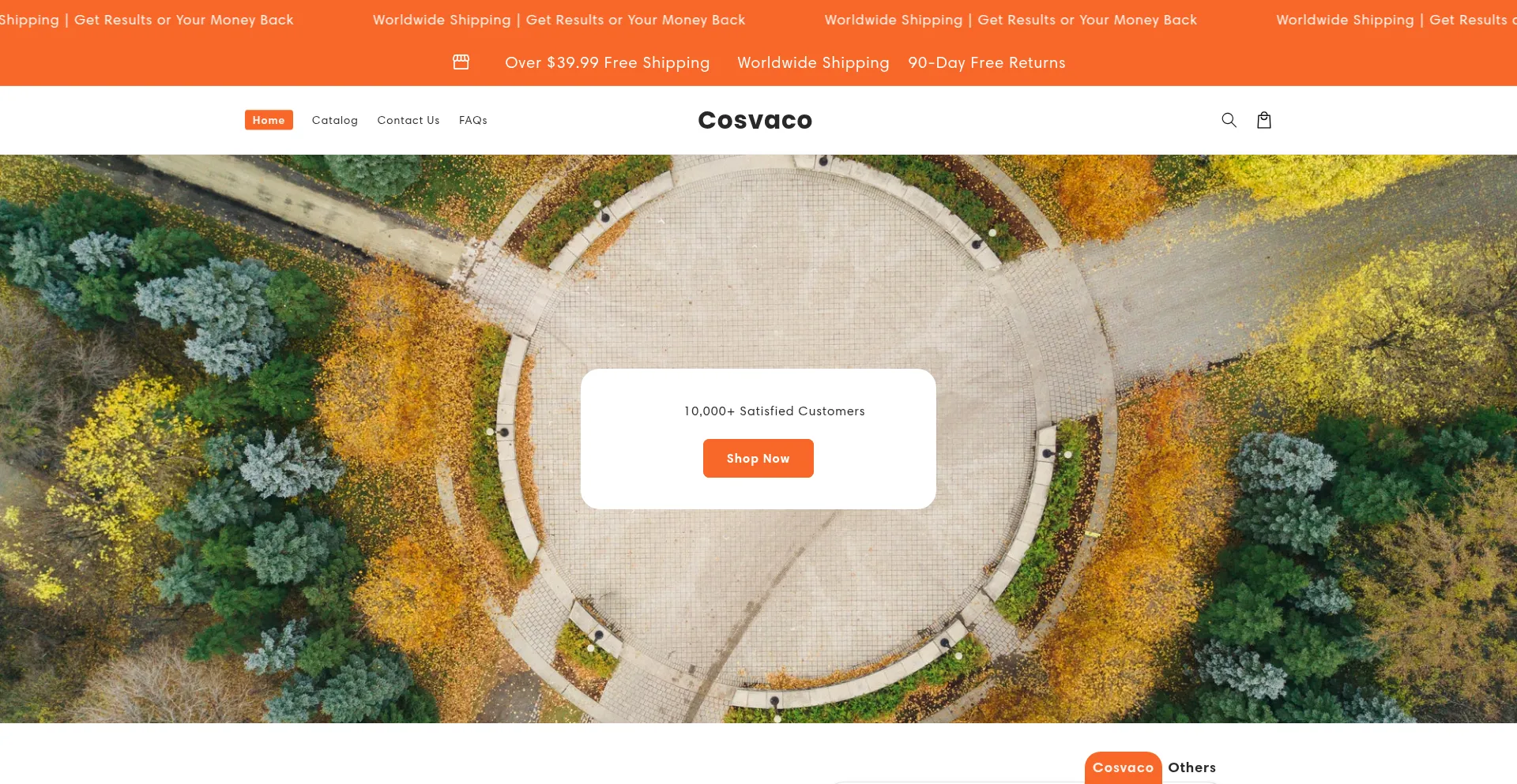 Website screenshot of Cosvaco.com