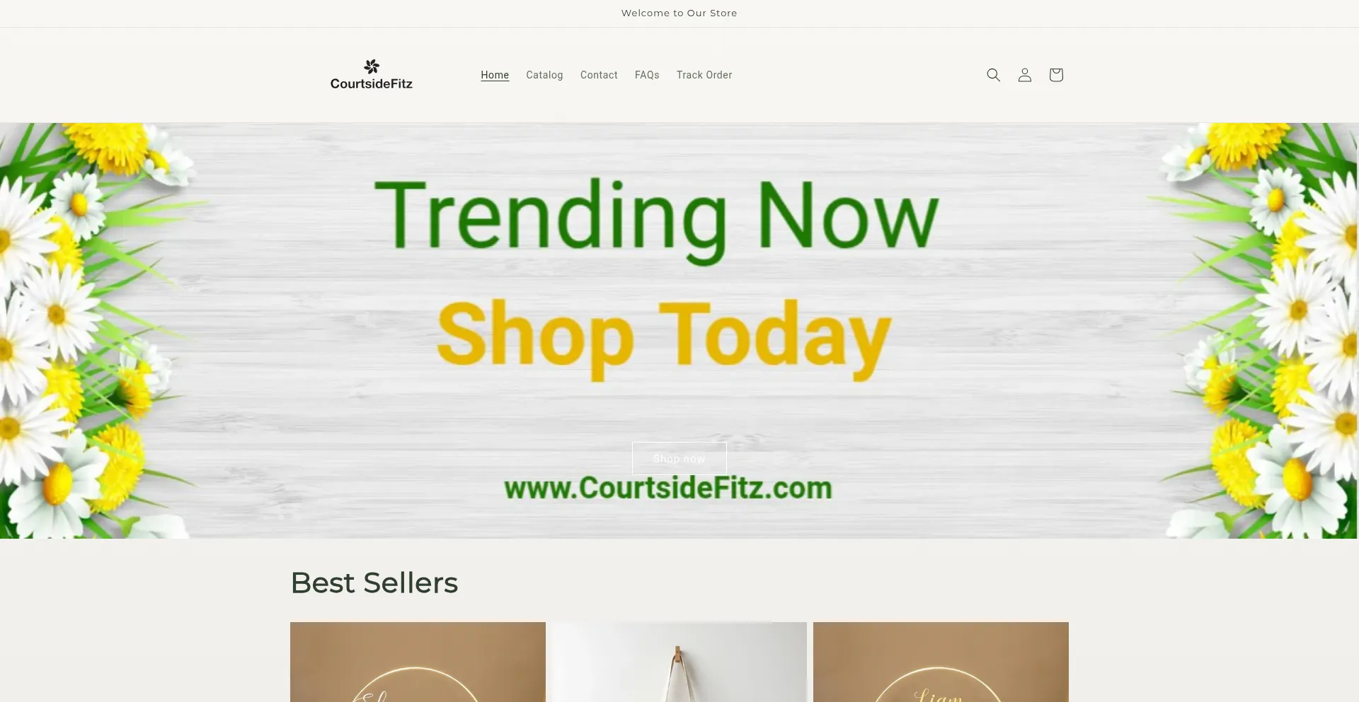 Courtsidefitz.com