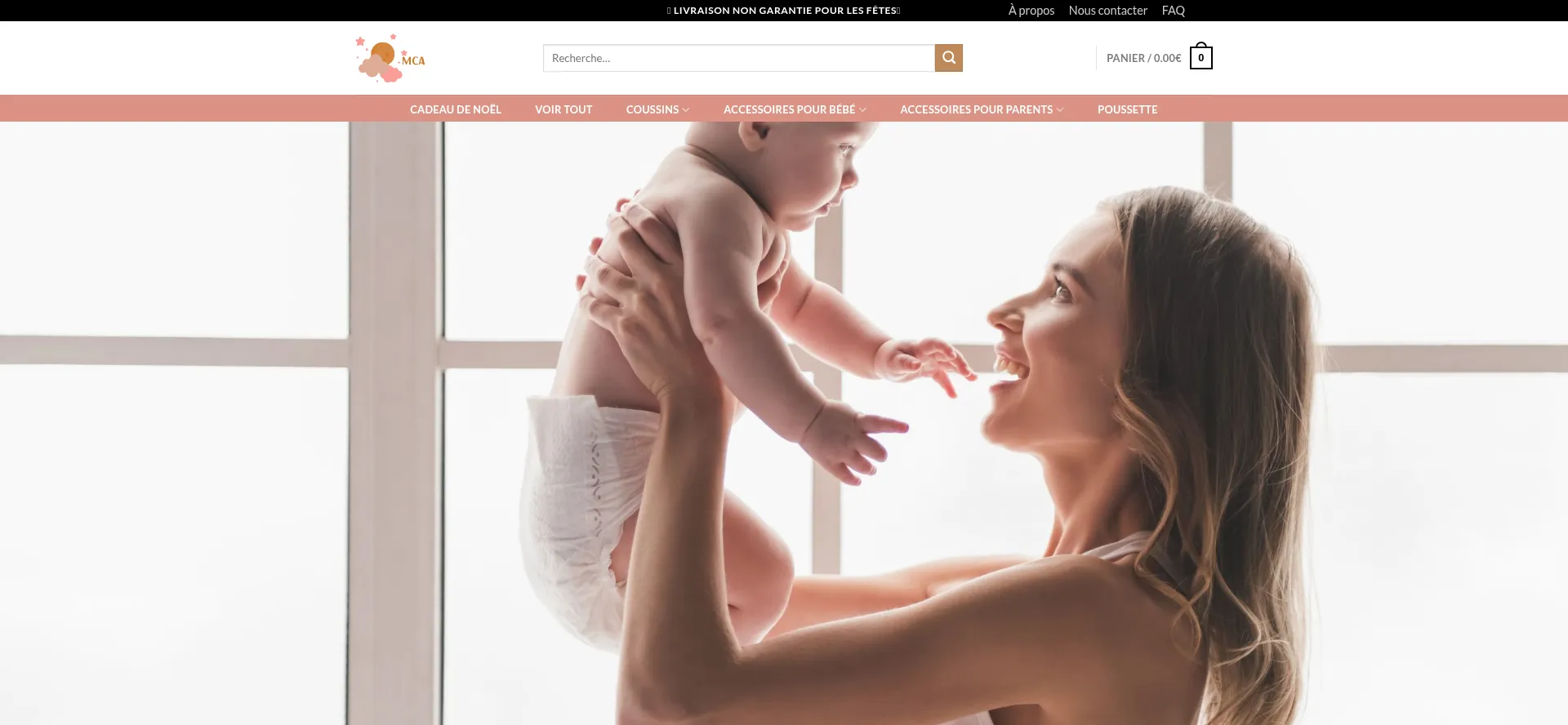 Website screenshot of Coussin-dallaitement.fr