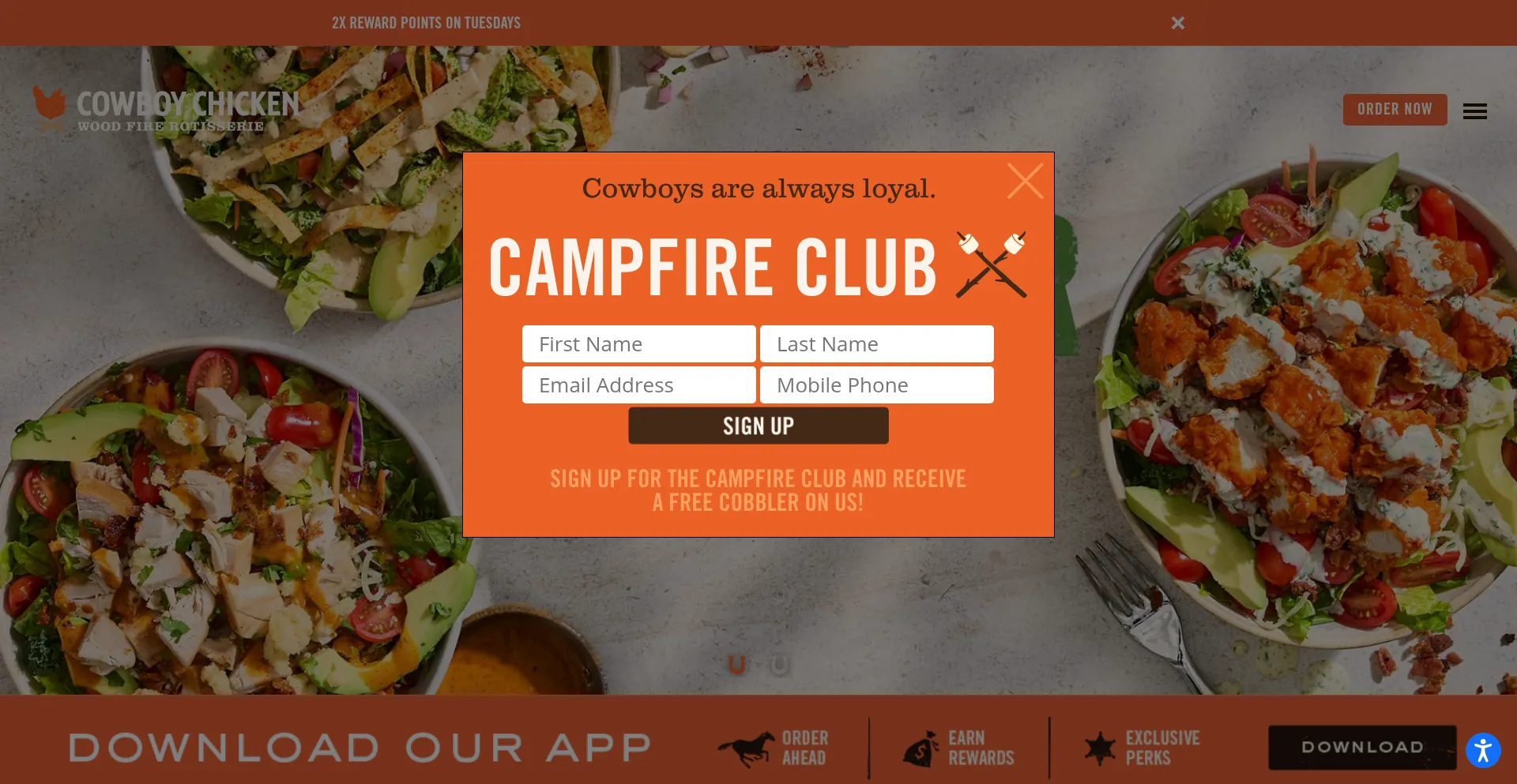 Website screenshot of Cowboychicken.com