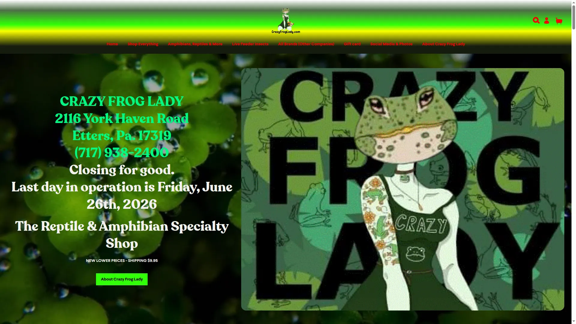 Crazyfroglady.com