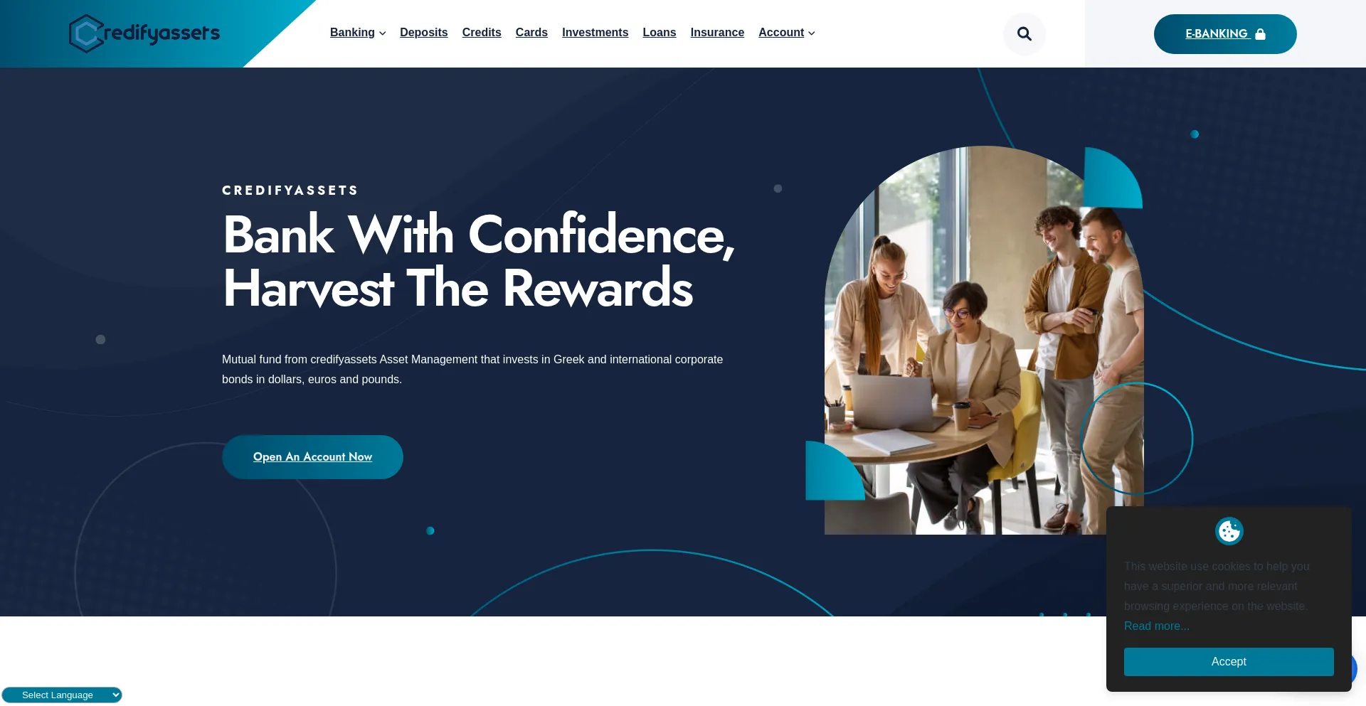 Website screenshot of Credifyassets.com