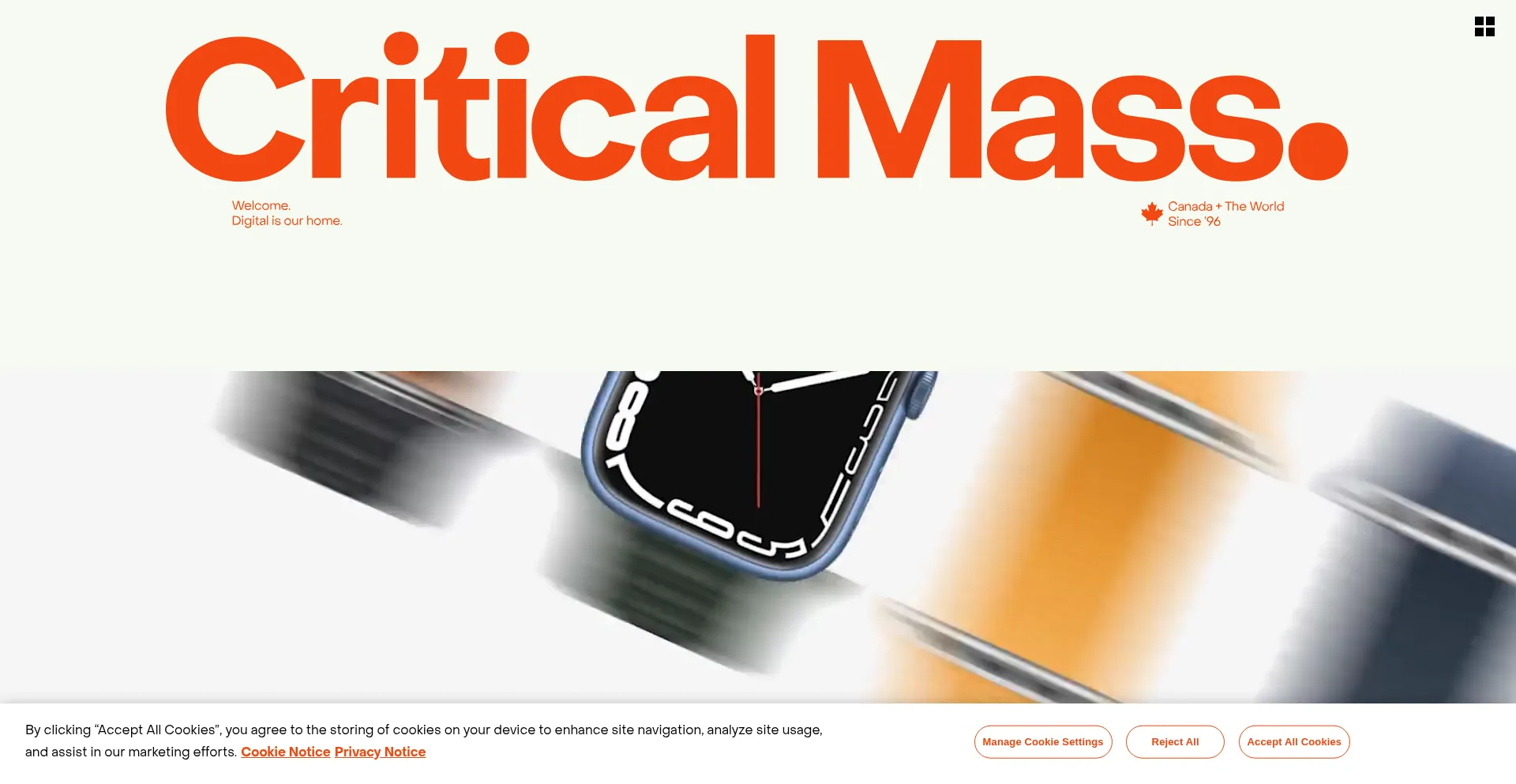 Website screenshot of Criticalmass.com