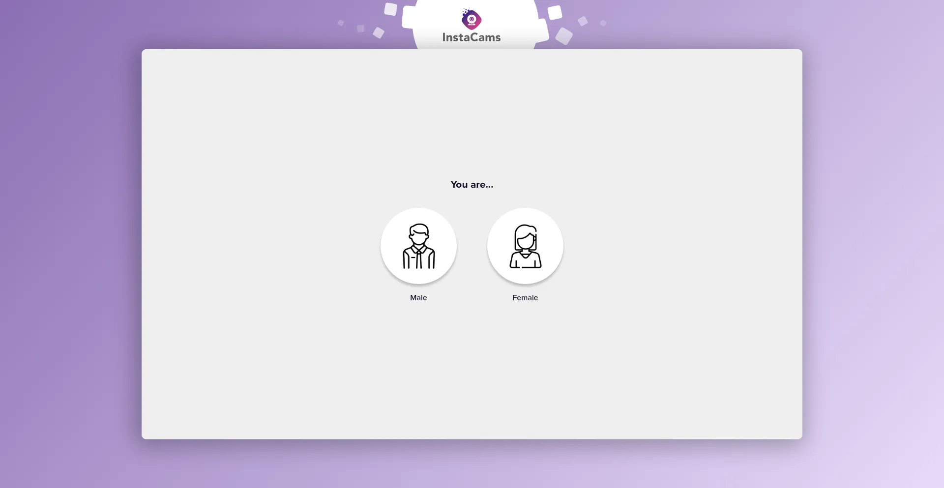 Crm.info-instacams.com