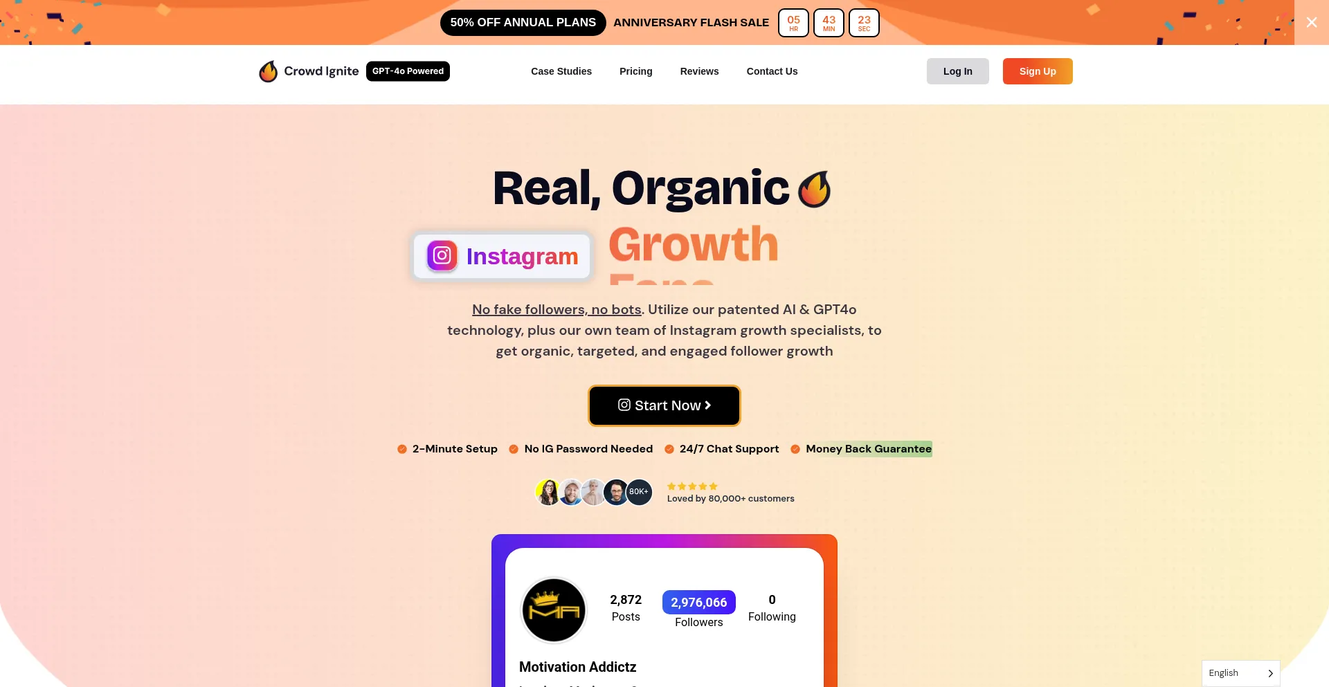 Website screenshot of Crowdignite.com