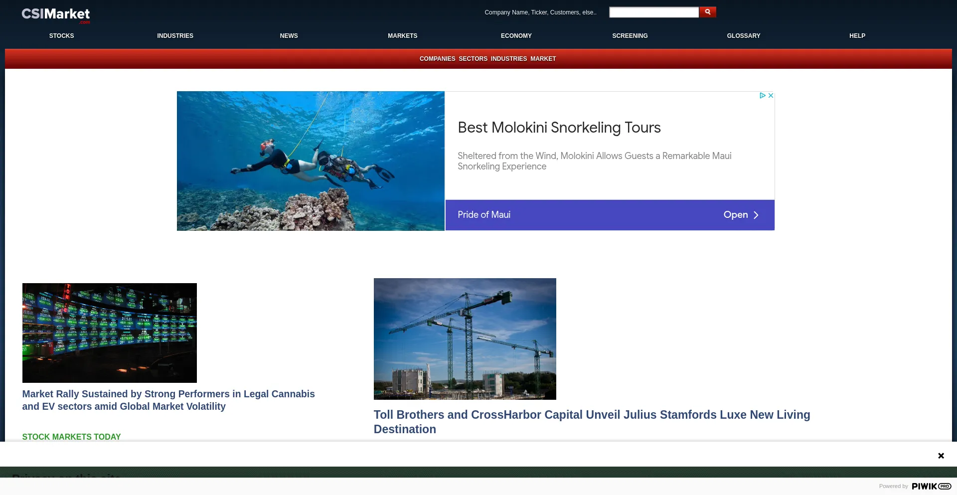 Website screenshot of Csimarket.com