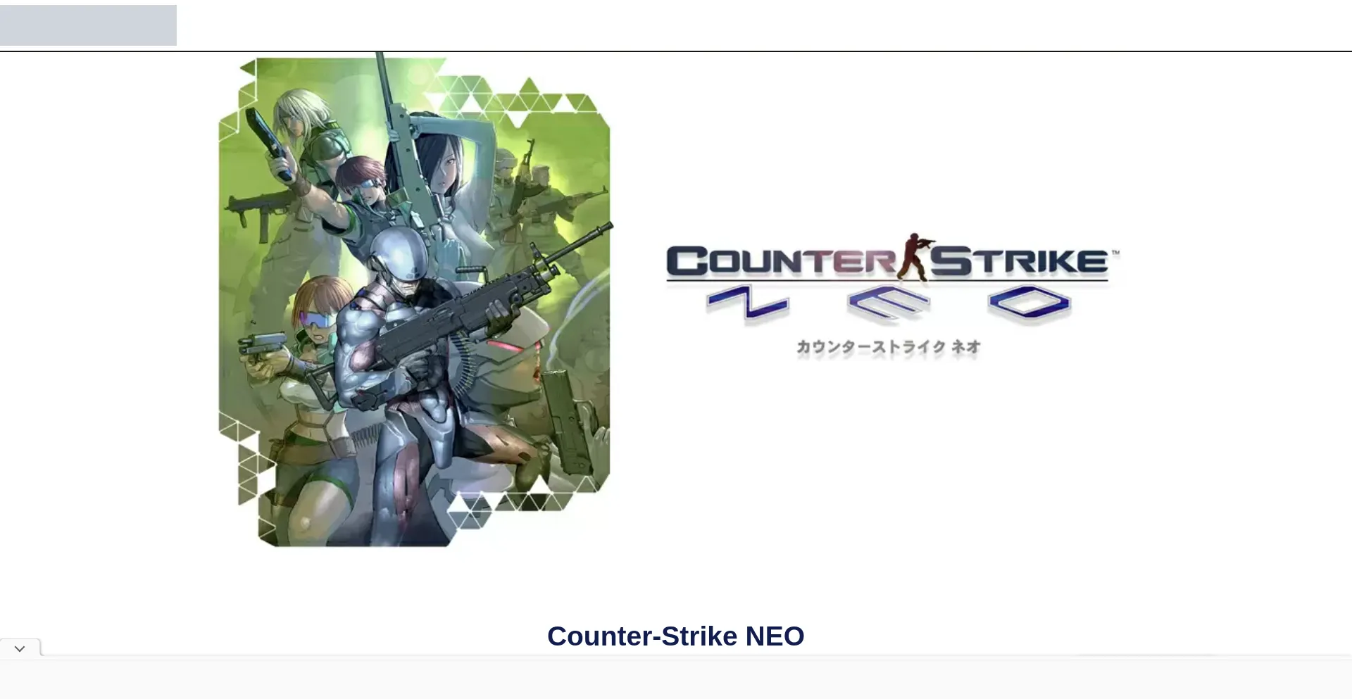 Website screenshot of Csneo.net