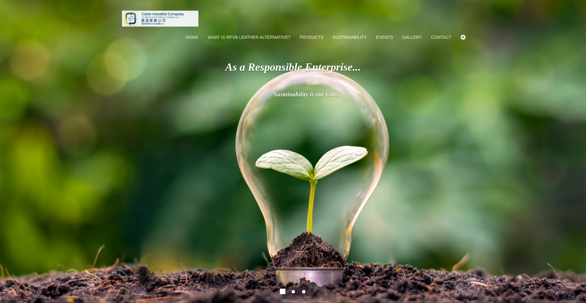 Website screenshot of Ctghk.com