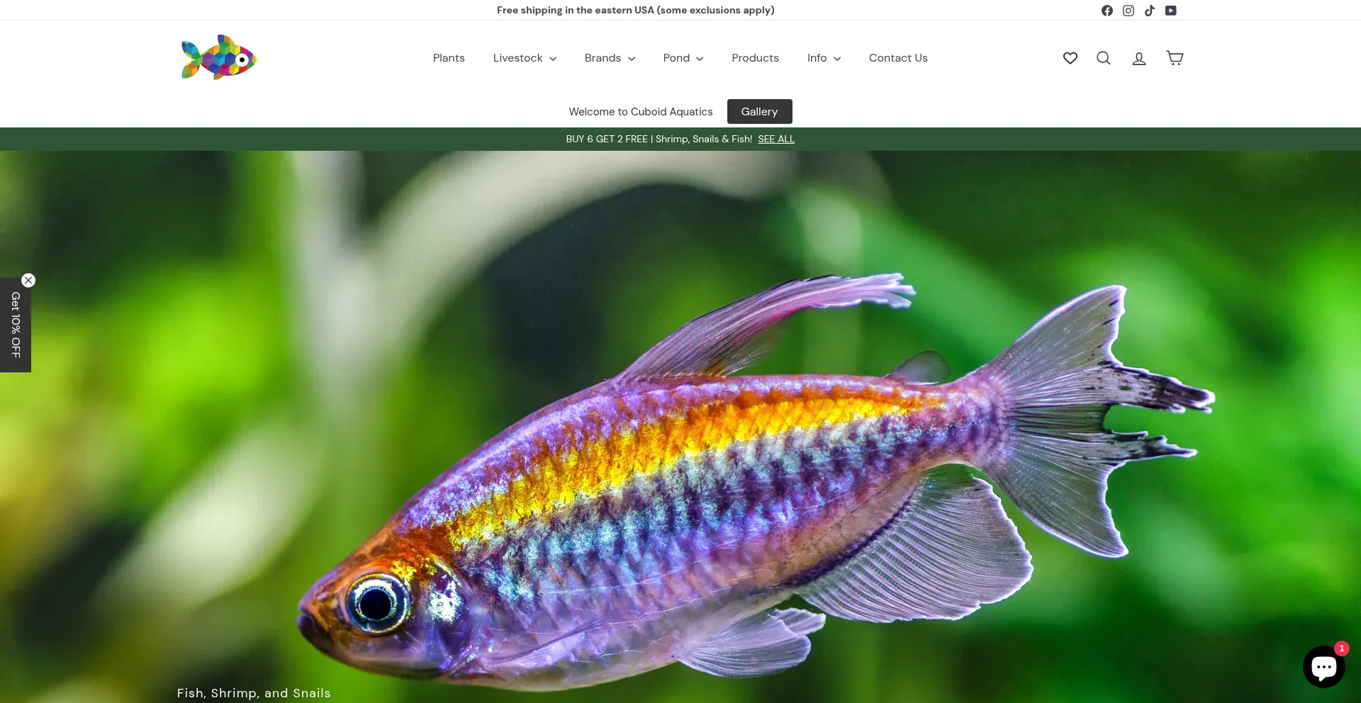 Cuboidstore.com